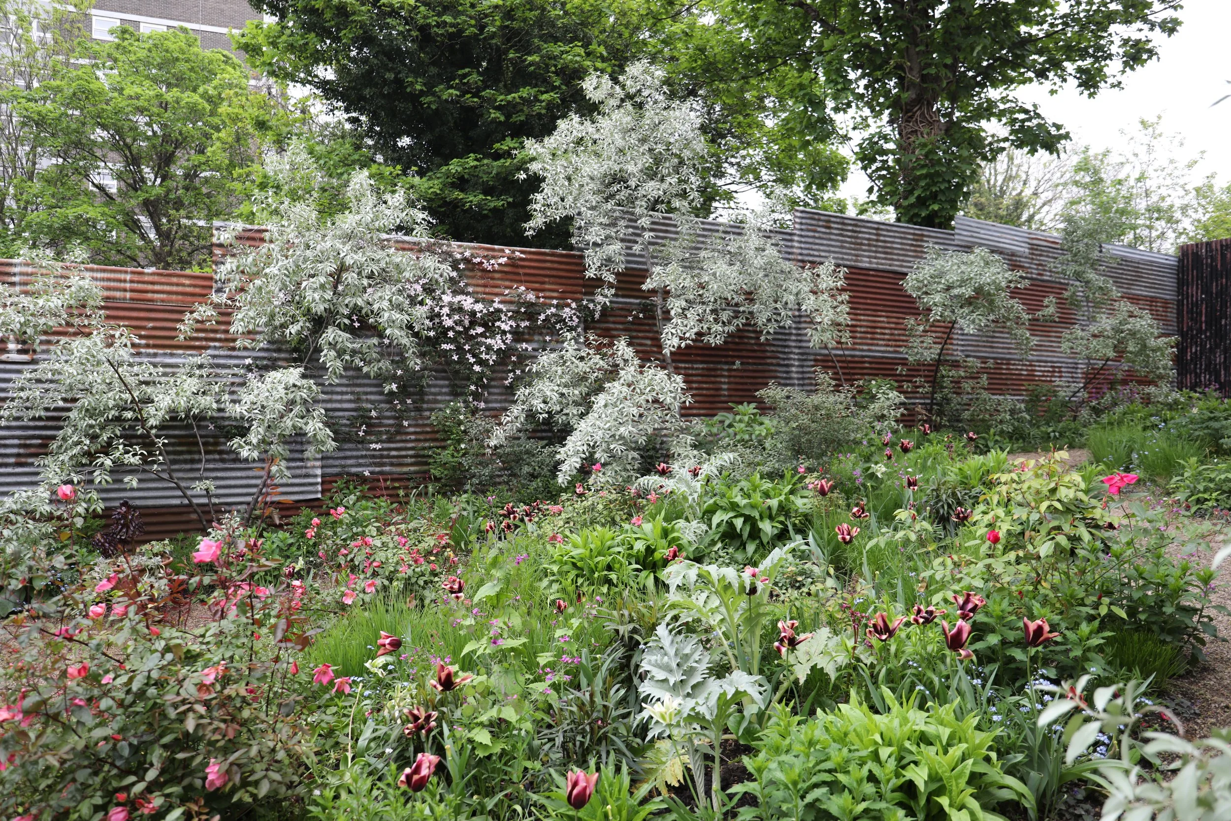 A lush garden with blooming pink, purple, and white flowers, surrounded by green foliage, and a corrugated metal fence in the background, with trees overhead.
