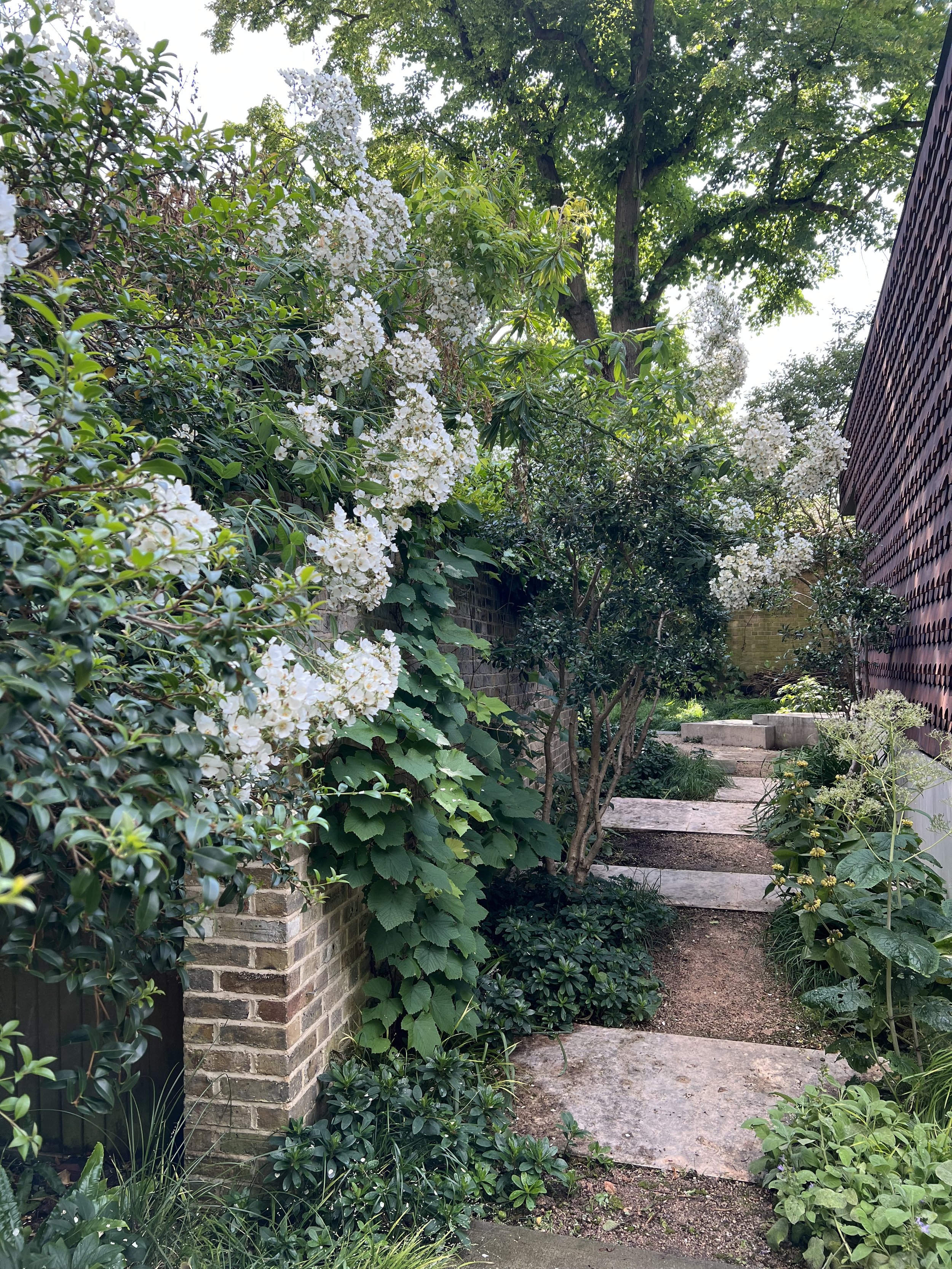 A garden pathway flanked by green shrubs, flowering bushes with white blossoms, and trees, with stone steps leading up and brick and wooden fences on either side.