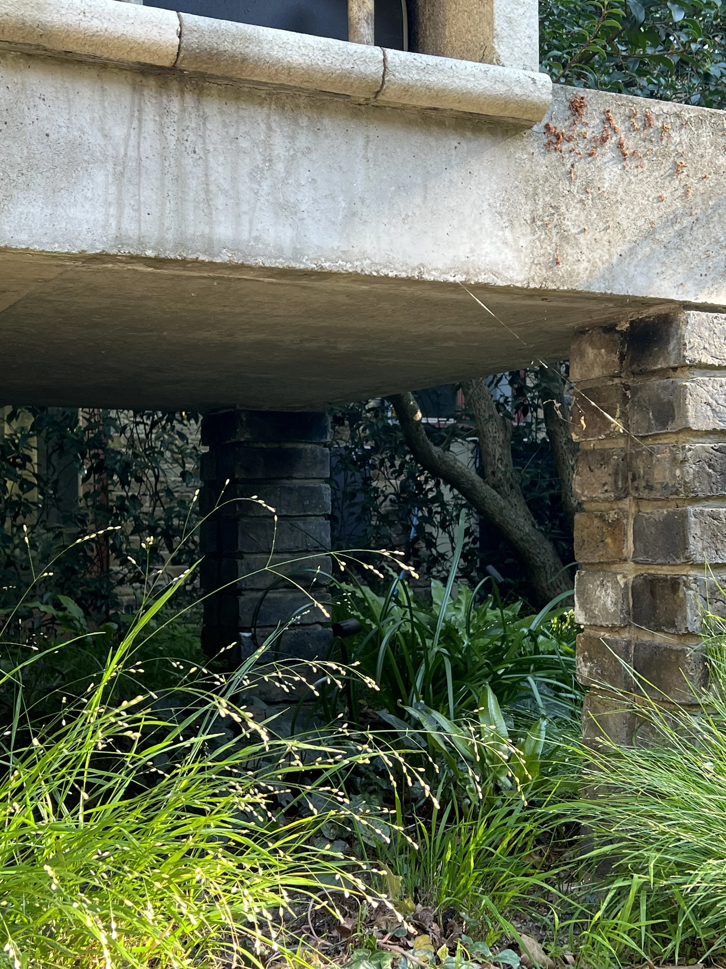 Underneath a concrete structure with brick supports, green plants and grass grow in the ground.