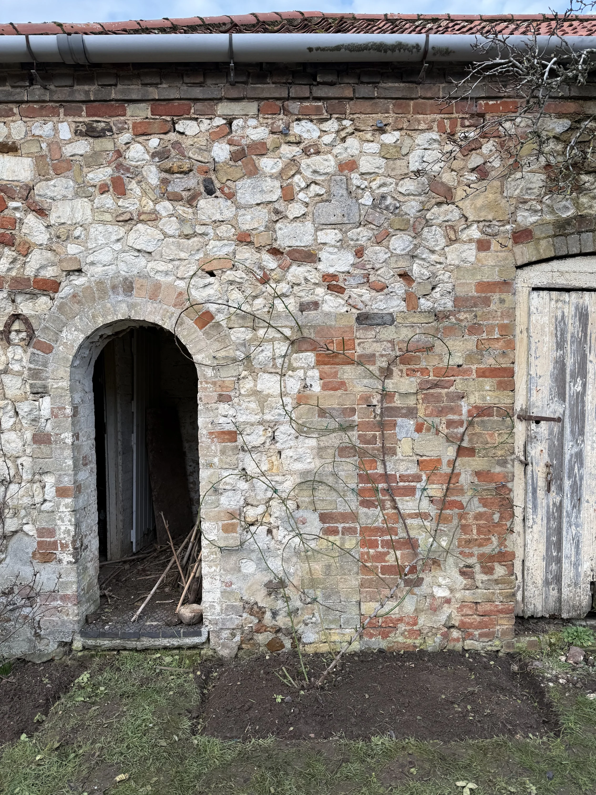 A weathered brick wall with a small arched opening and a wooden door on the right, signs of aging and a small plant growing at the base.