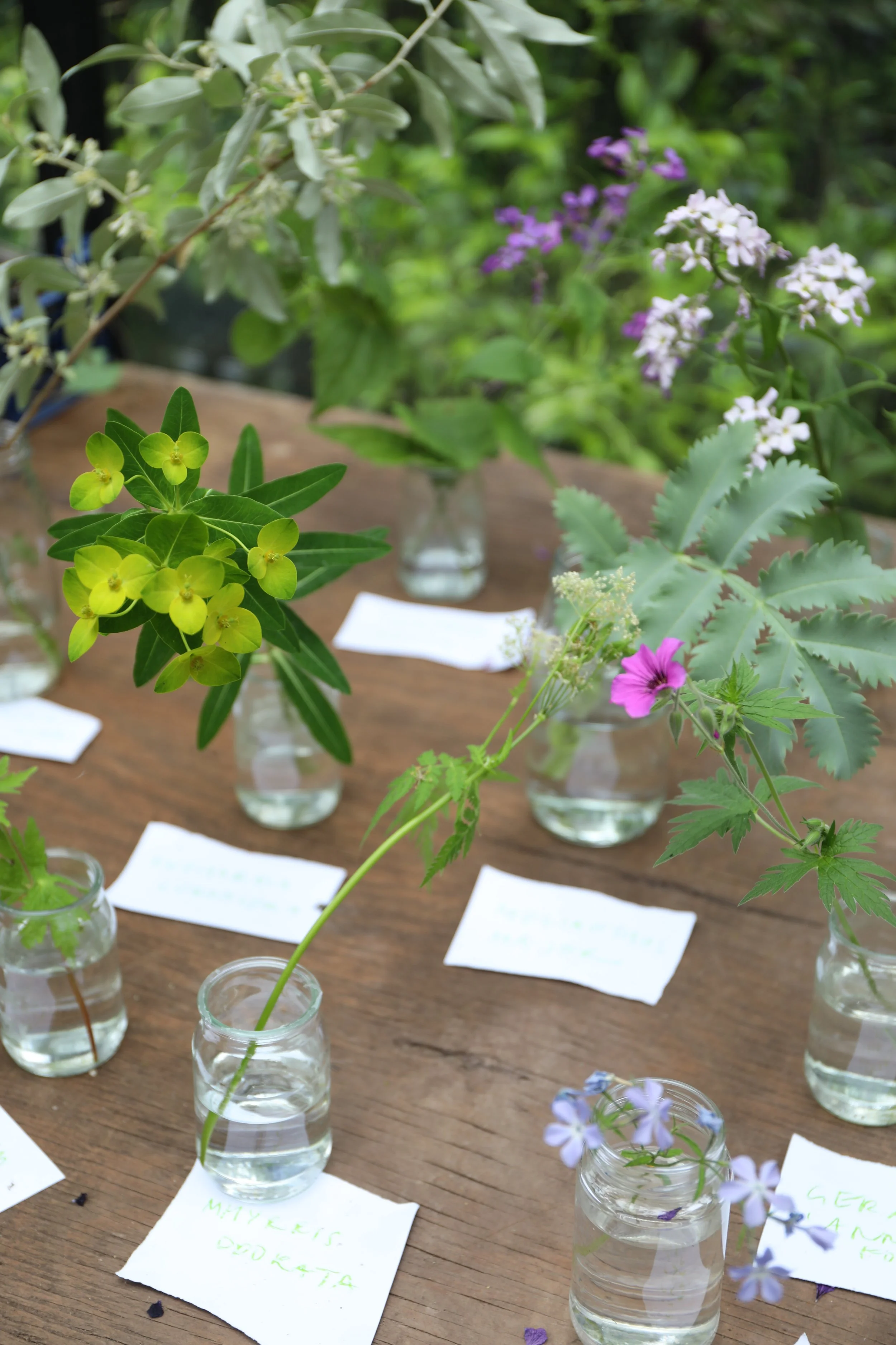 Vases with various flowers on a wooden table, each labeled with handwritten notes, set outdoors with greenery in the background.