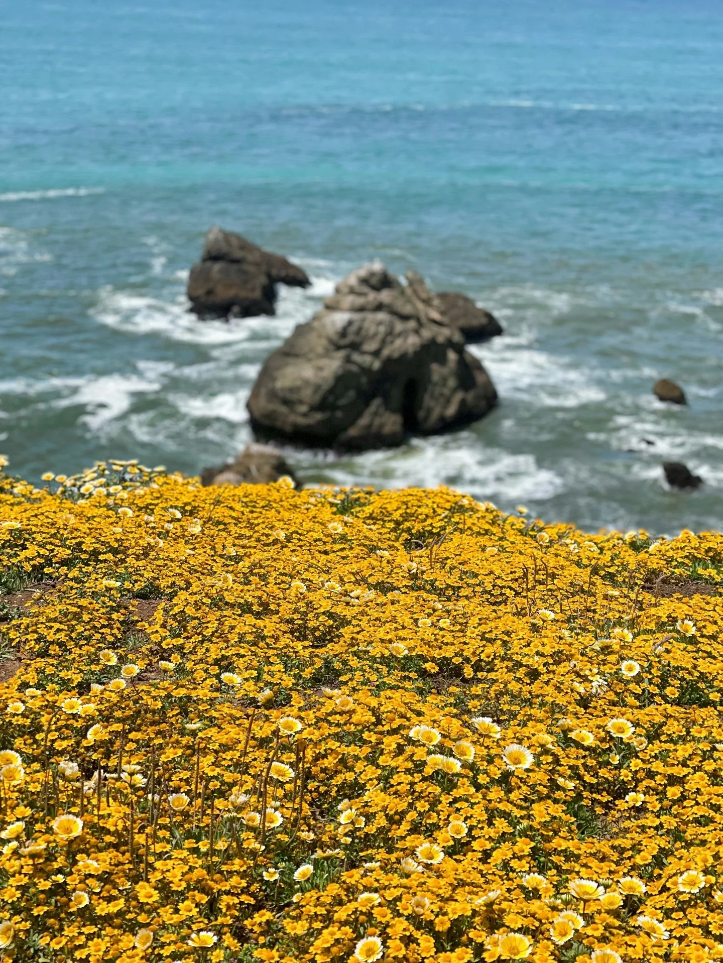 Happy official first day of Spring in Pacifica!