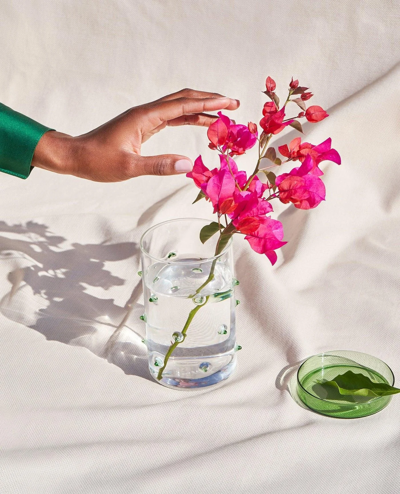 agave-glass-container-large-4310737_1400x.jpg