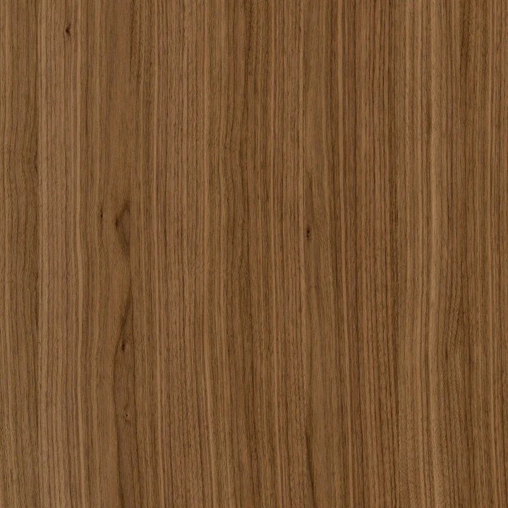 American black walnut