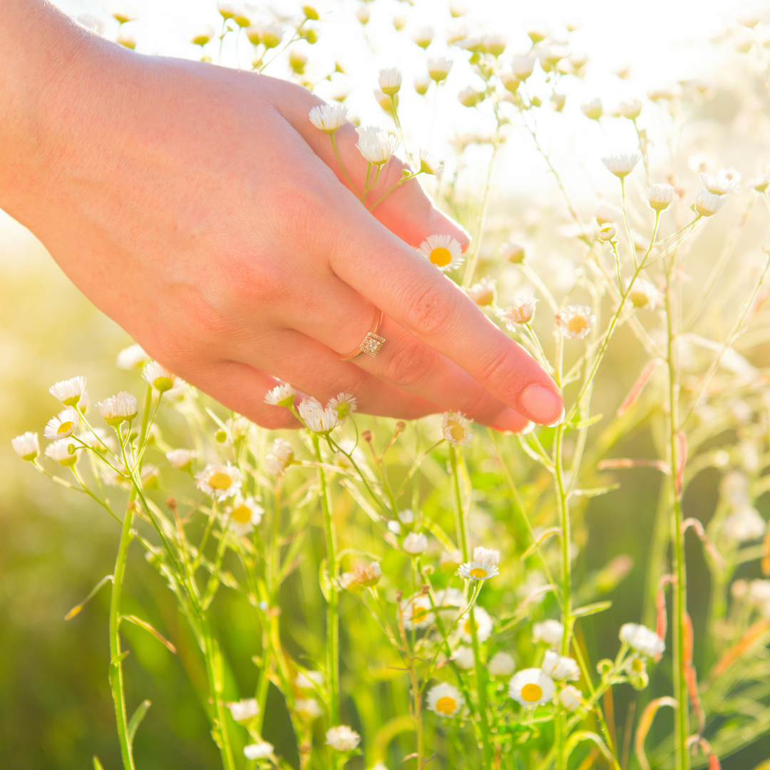 blockstyle-doubleborder