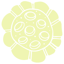Yellow flower illustration