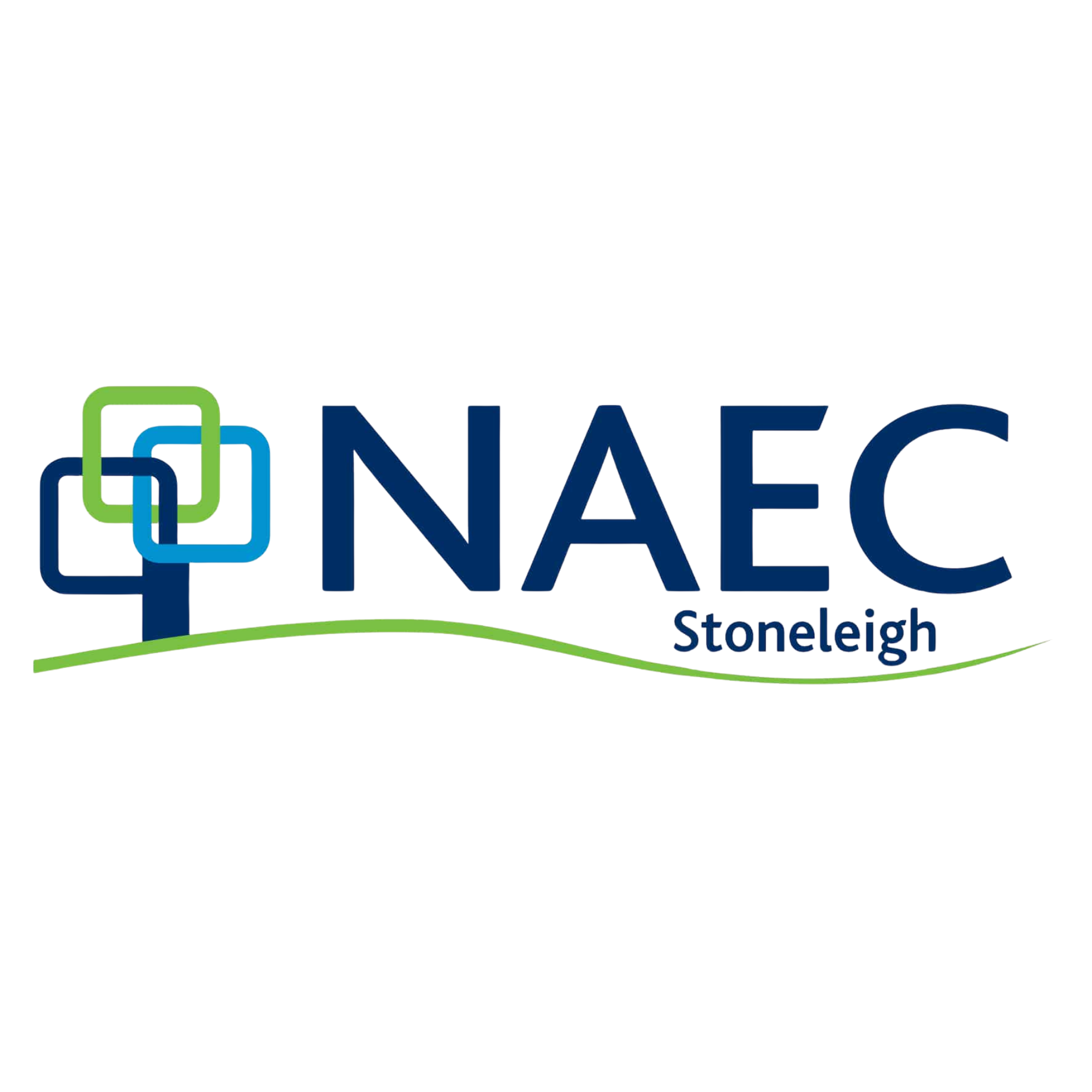 Logo for NAEPC Stoneleigh featuring interconnected geometric shapes and stylized text.