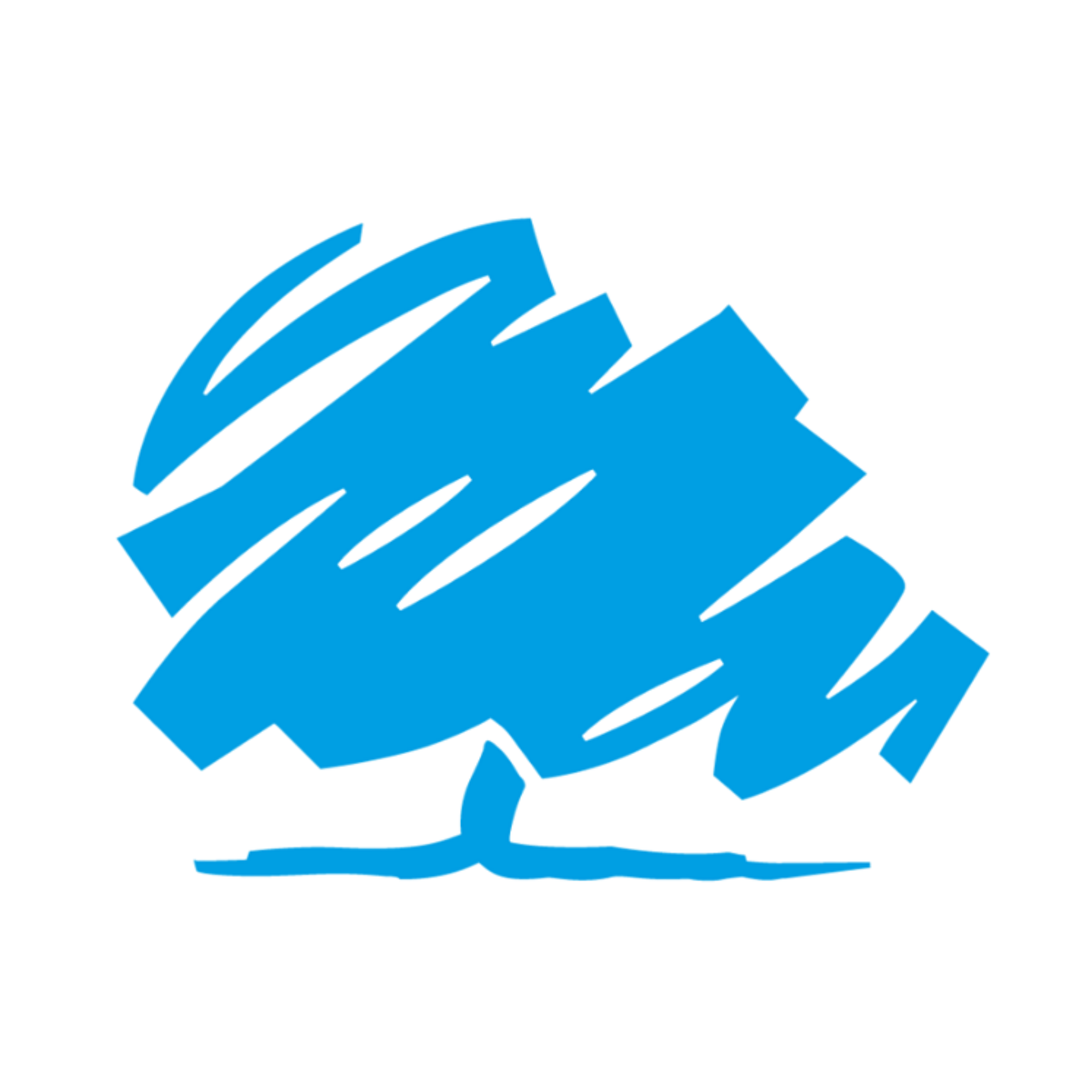 Blue stylized fish logo with fins and tail, facing left, on a black background.