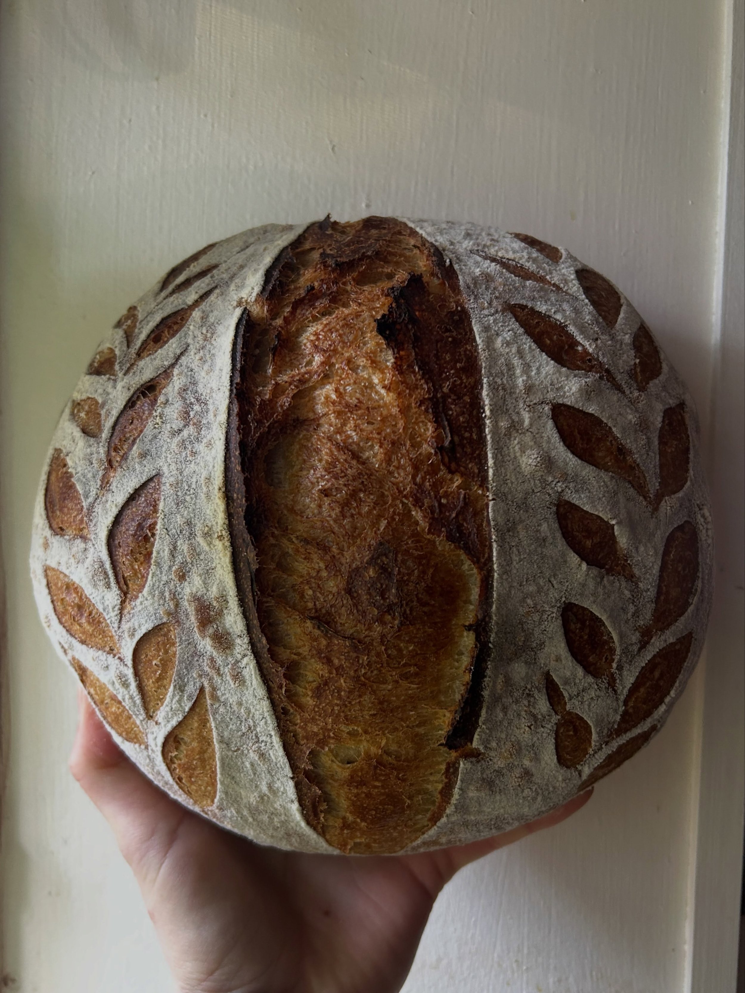 The sourdough country loaf. 
My take on a classic loaf, she&rsquo;s perfect for your morning toast, the best grilled cheese, or simply dipping in olive oil with herbs. 
A limited amount will be available at @dragon_wheels_farm for the Kitsap Farm Tou