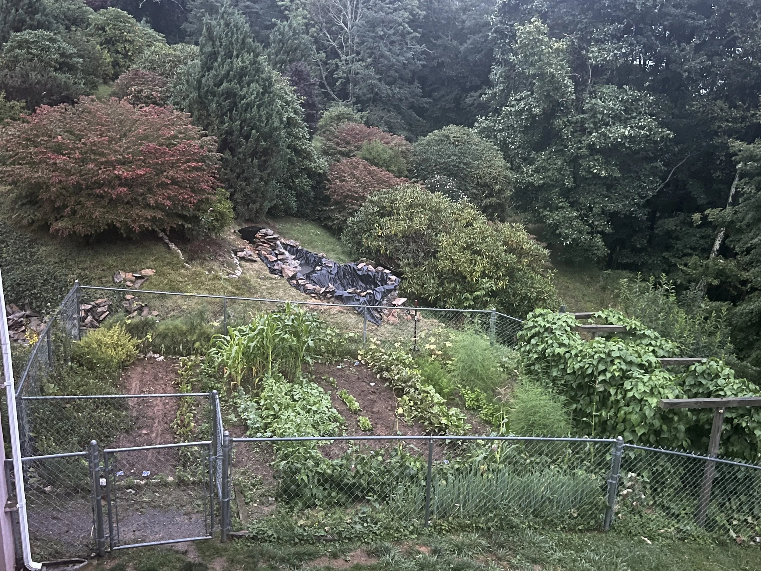 A backyard garden with a fenced vegetable patch in the foreground, surrounded by lush green trees and shrubs, with a small pond or water feature covered with black plastic liner in the background.