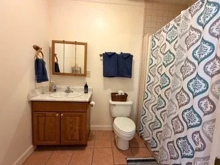 Bathroom with wooden vanity, mirror, two blue towels, toilet, and shower with patterned curtain.