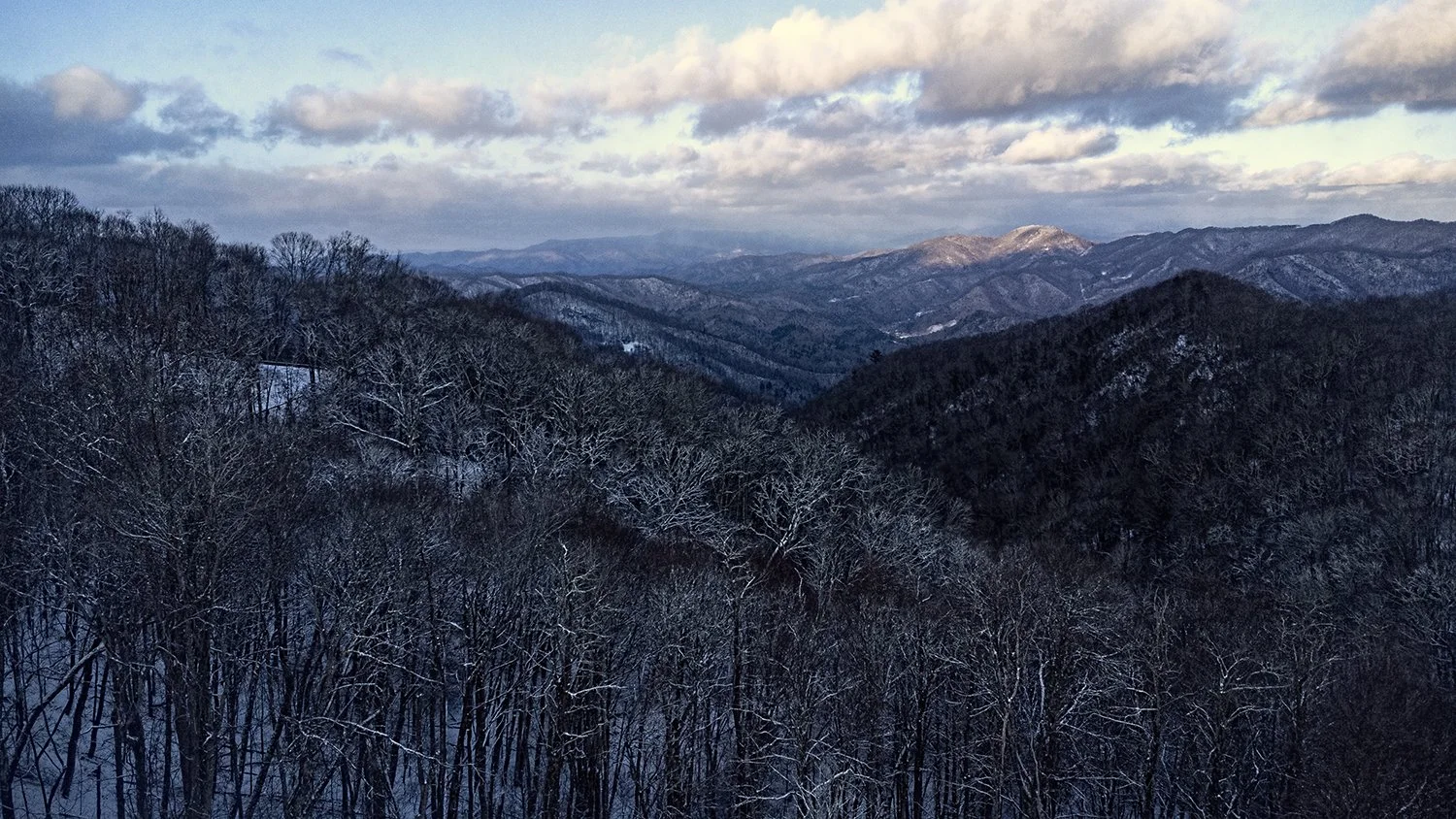 Snow-covered mountains and leafless trees in a winter landscape with cloudy sky