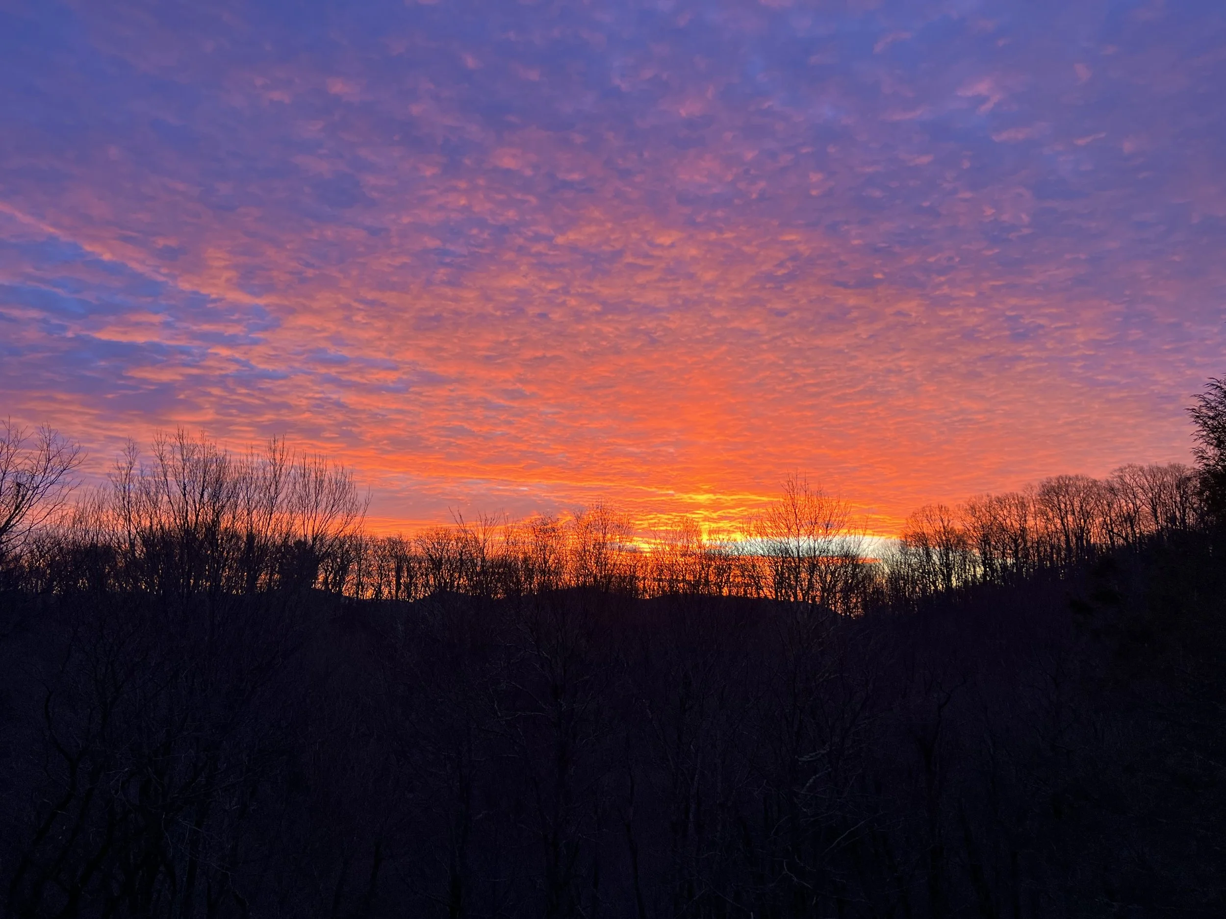 Colorful sunset over a forest with silhouetted trees.