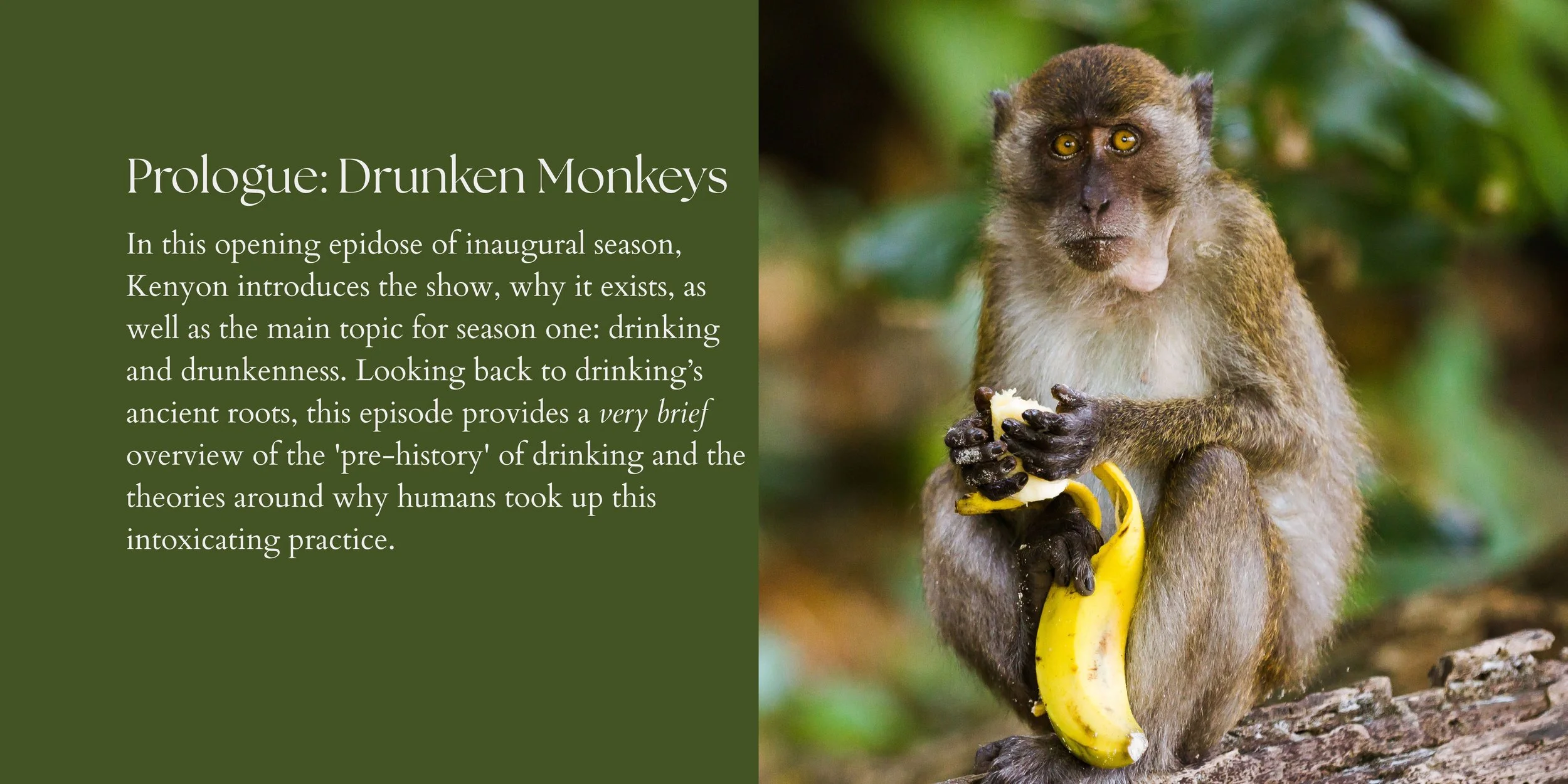 S1 Ep1: Drunken Monkeys
