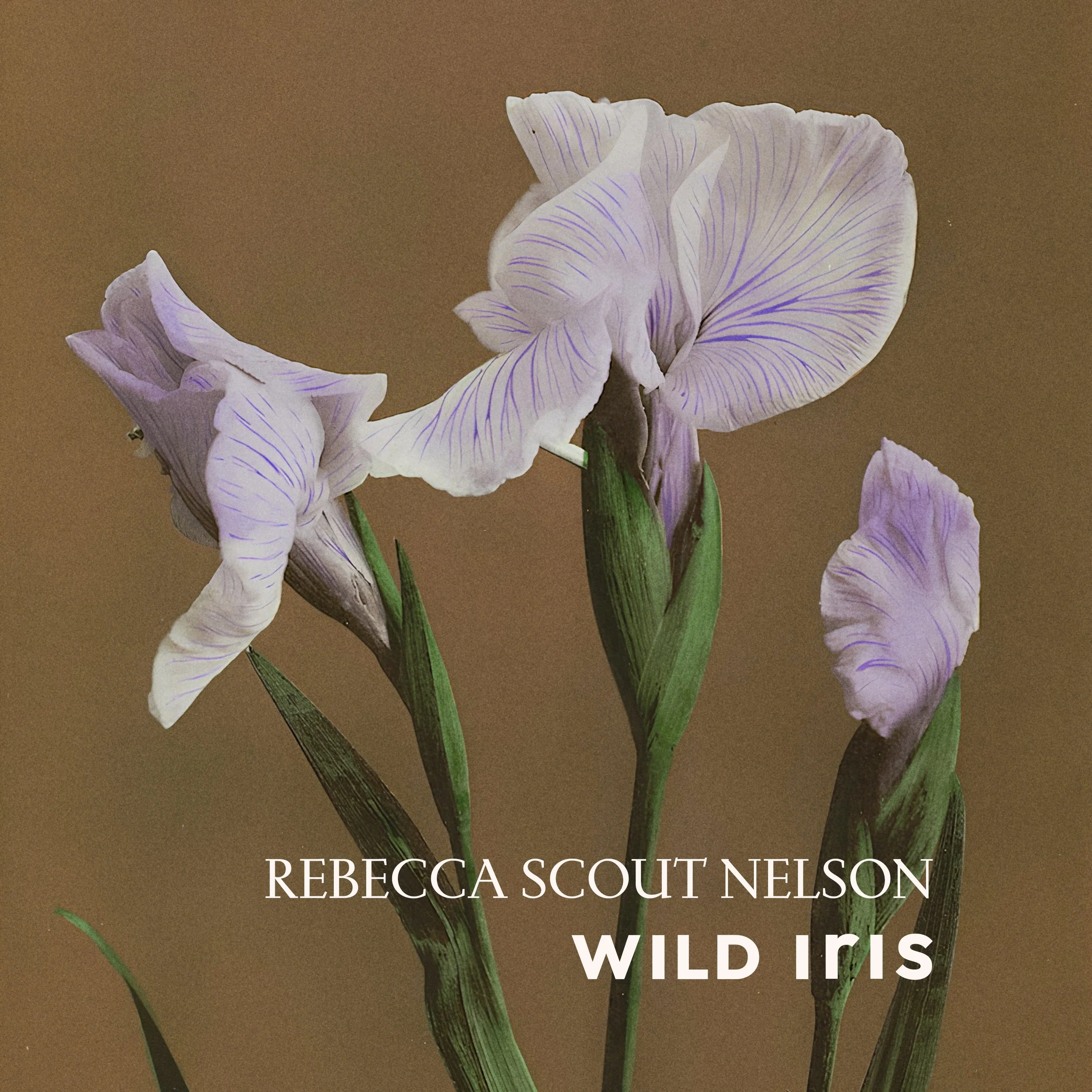 wild-iris-front-cover-digital .jpg