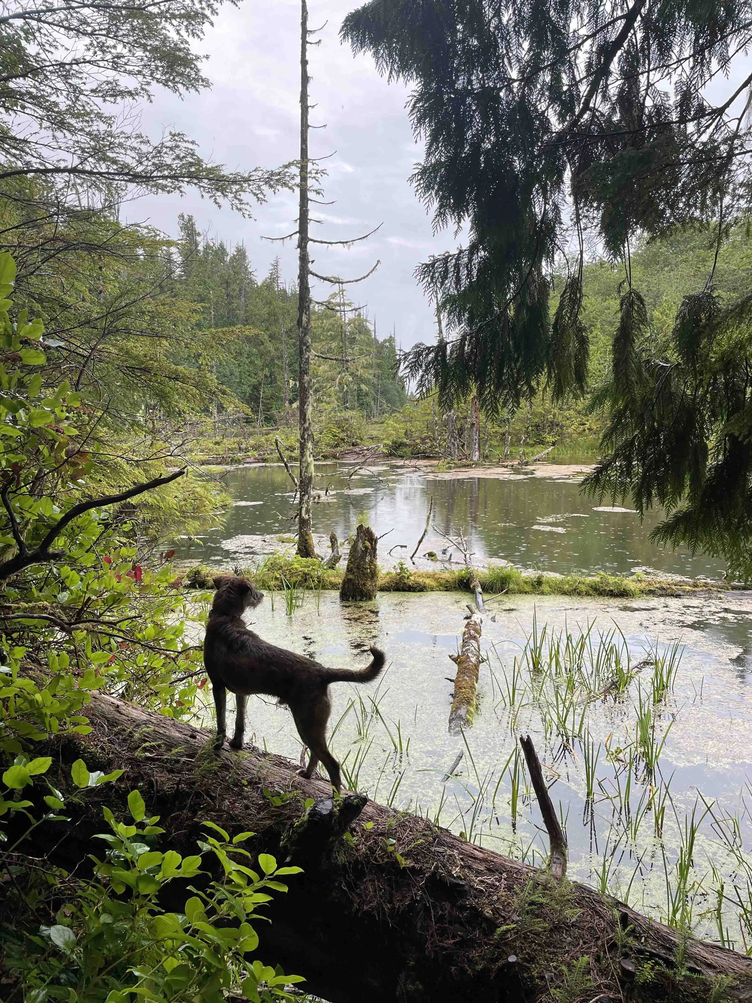 Charlotte Ruby Campbell_Sculpture_52.jpg