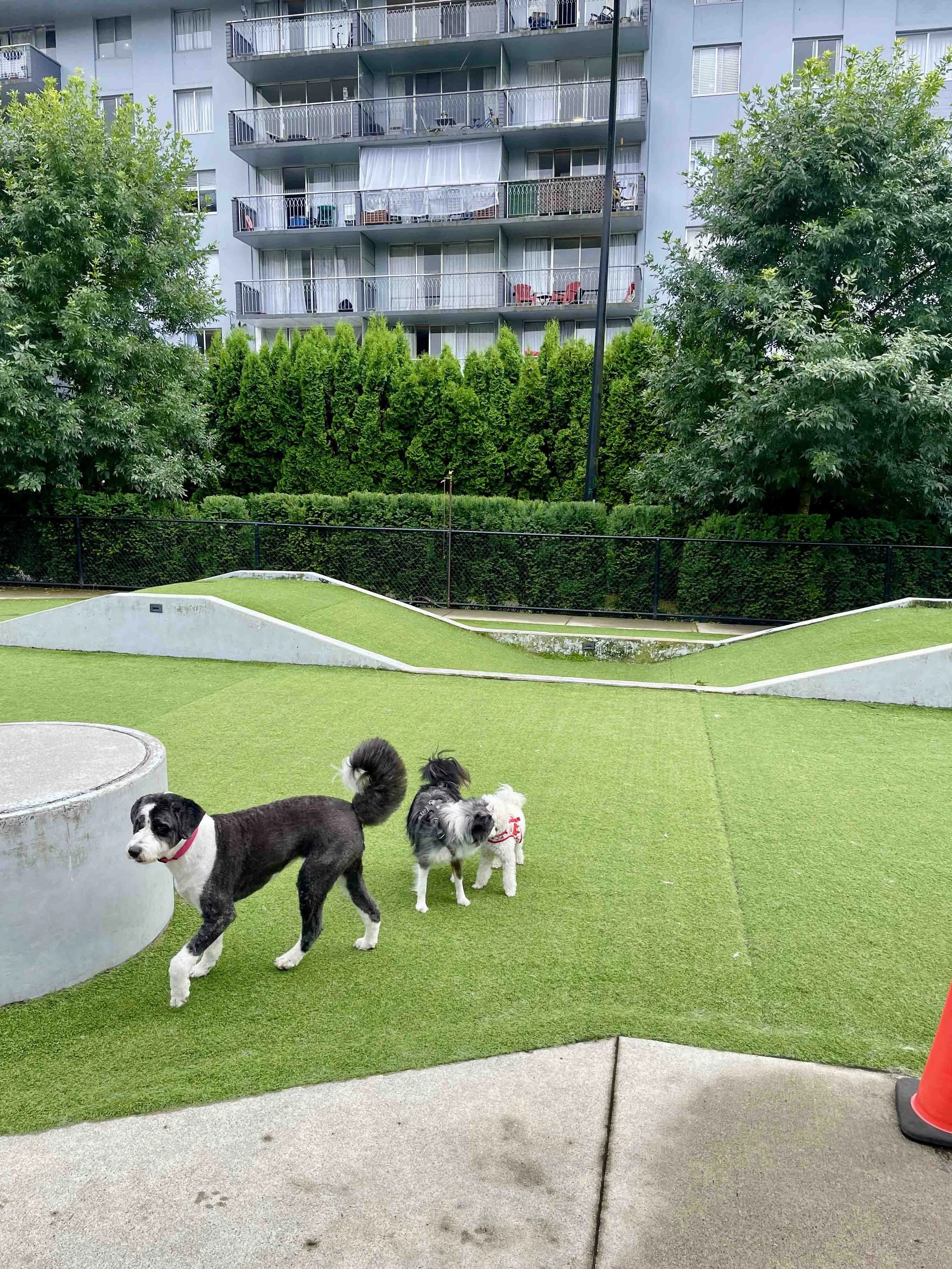 Charlotte Ruby Campbell_Sculpture_46.jpg