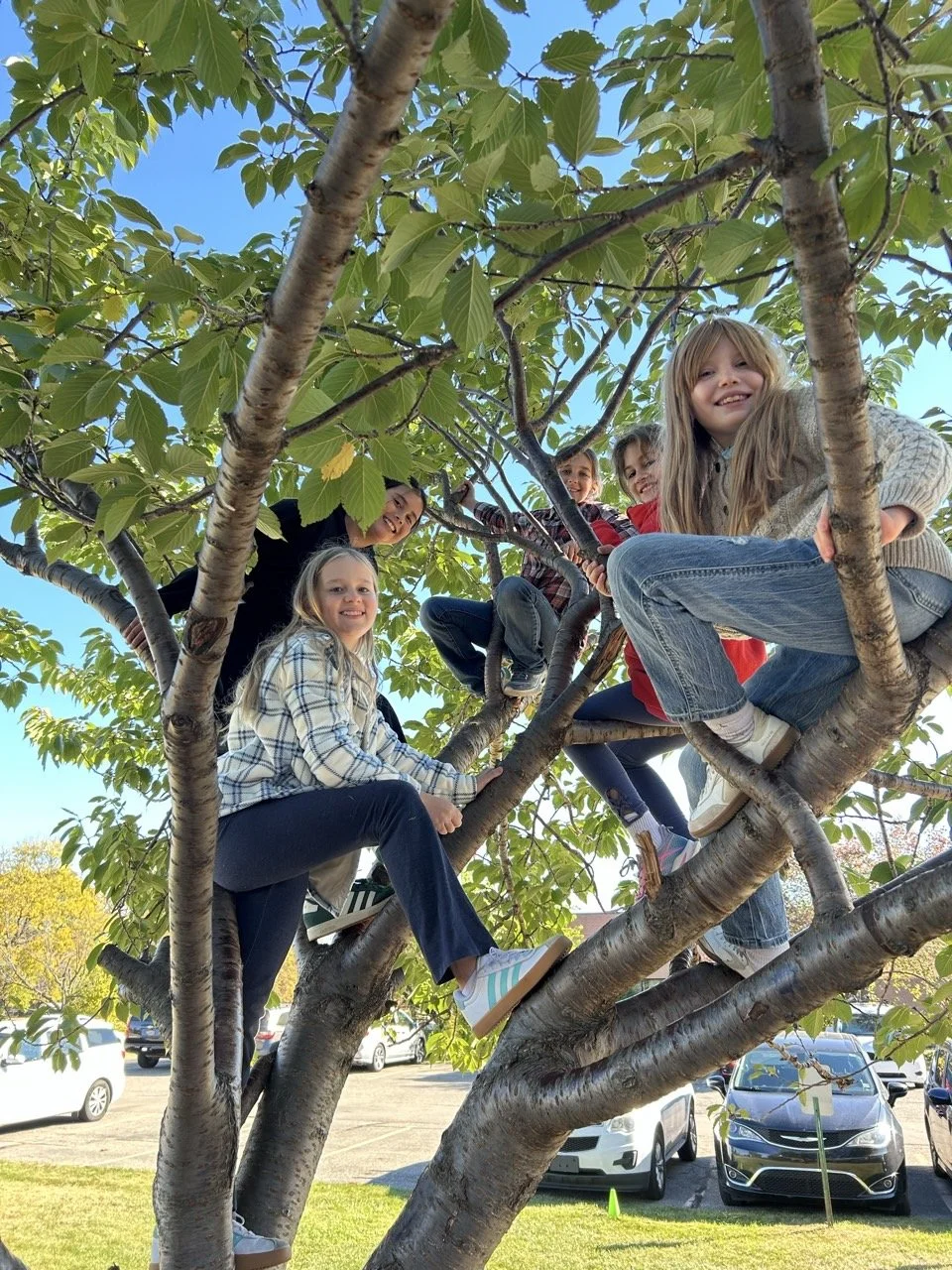 BAND_Juniper Classical_2025-10-16-14-30-50.jpg