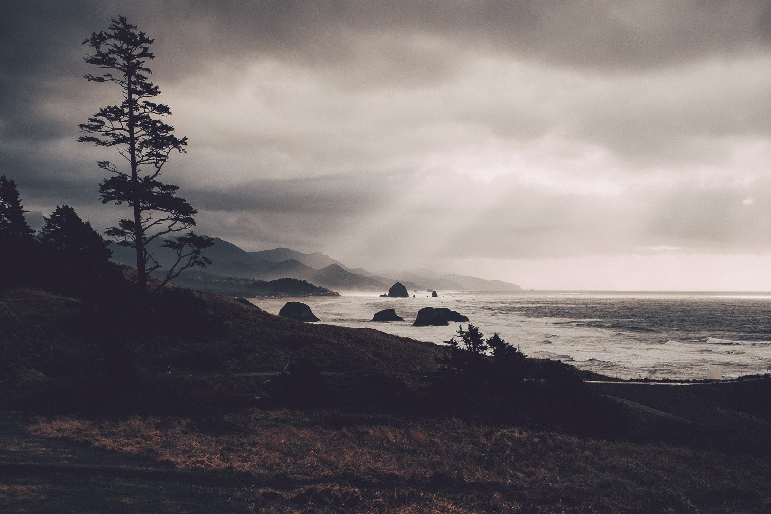 Ecola Point '20 | Cannon Beach, OR
