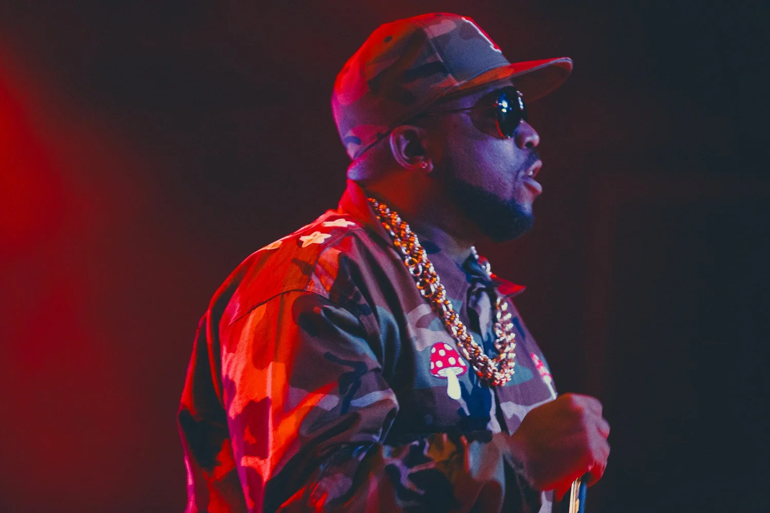 Big Boi Outkast Concert Photography