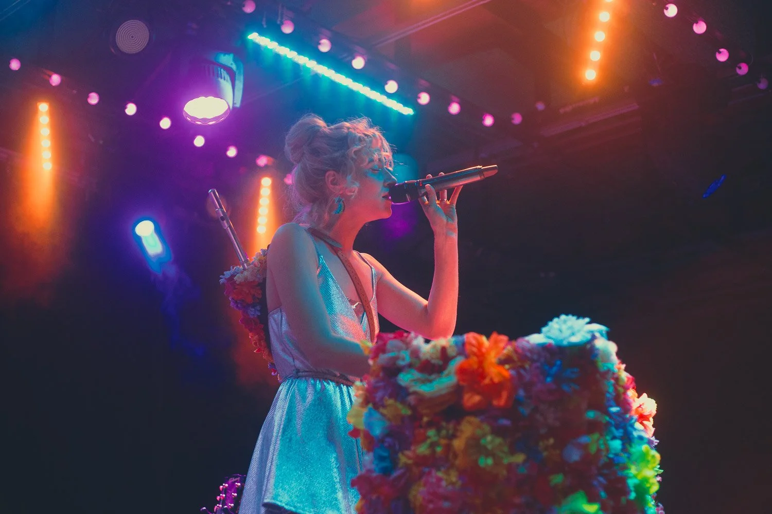 Pip the Pansy | January 16th, 2020