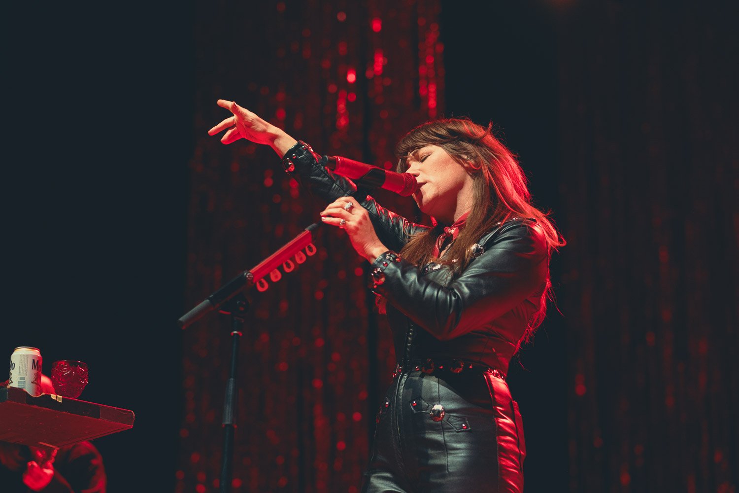 Jenny Lewis Concert Photography