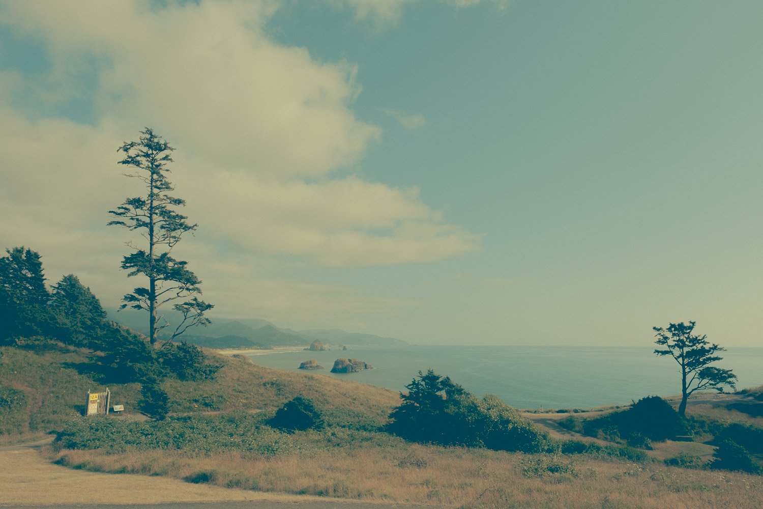 Ecola State Park | Cannon Beach, Oregon | July 27th, 2023