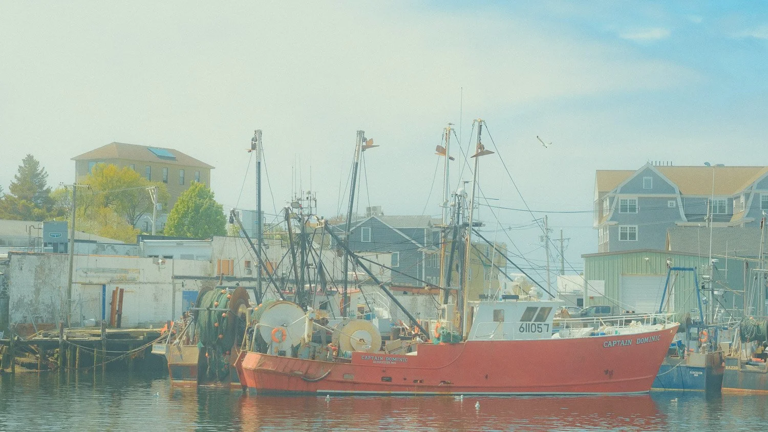 Gloucester, Massachusetts | May 16th, 2025