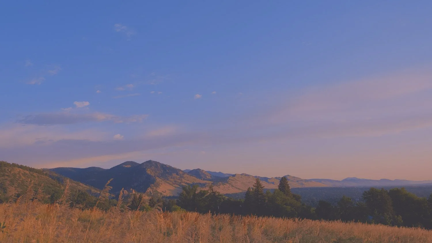 Chautauqua Park | Boulder, CO