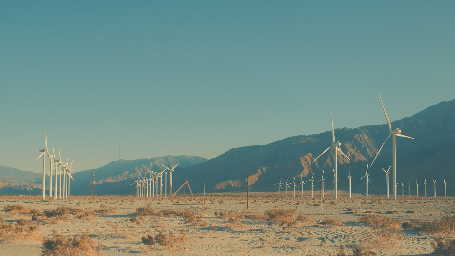 Windmills | Palm Springs, CA
