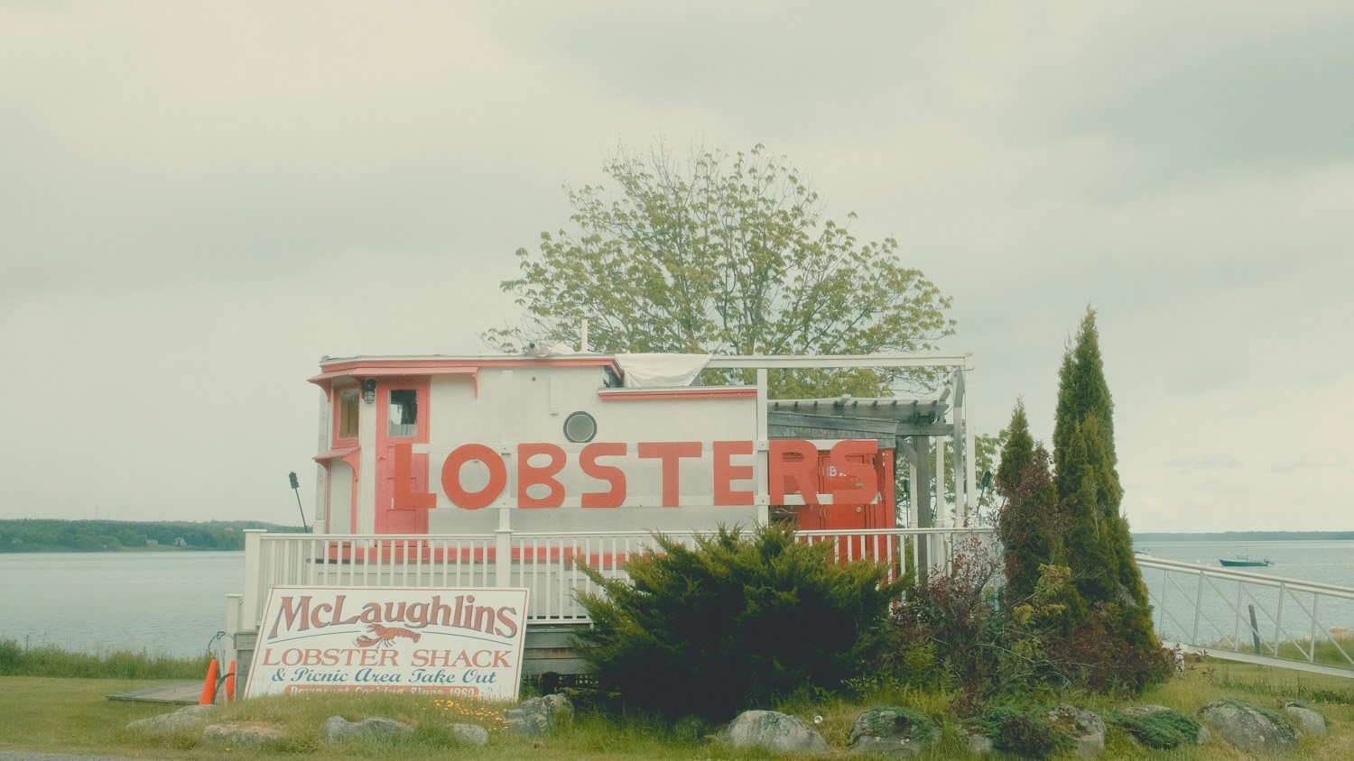 Lobsters | Lincolnville, ME