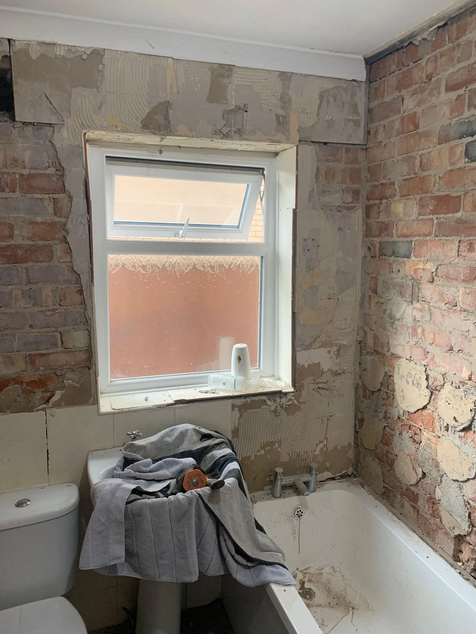 Bathroom rip out