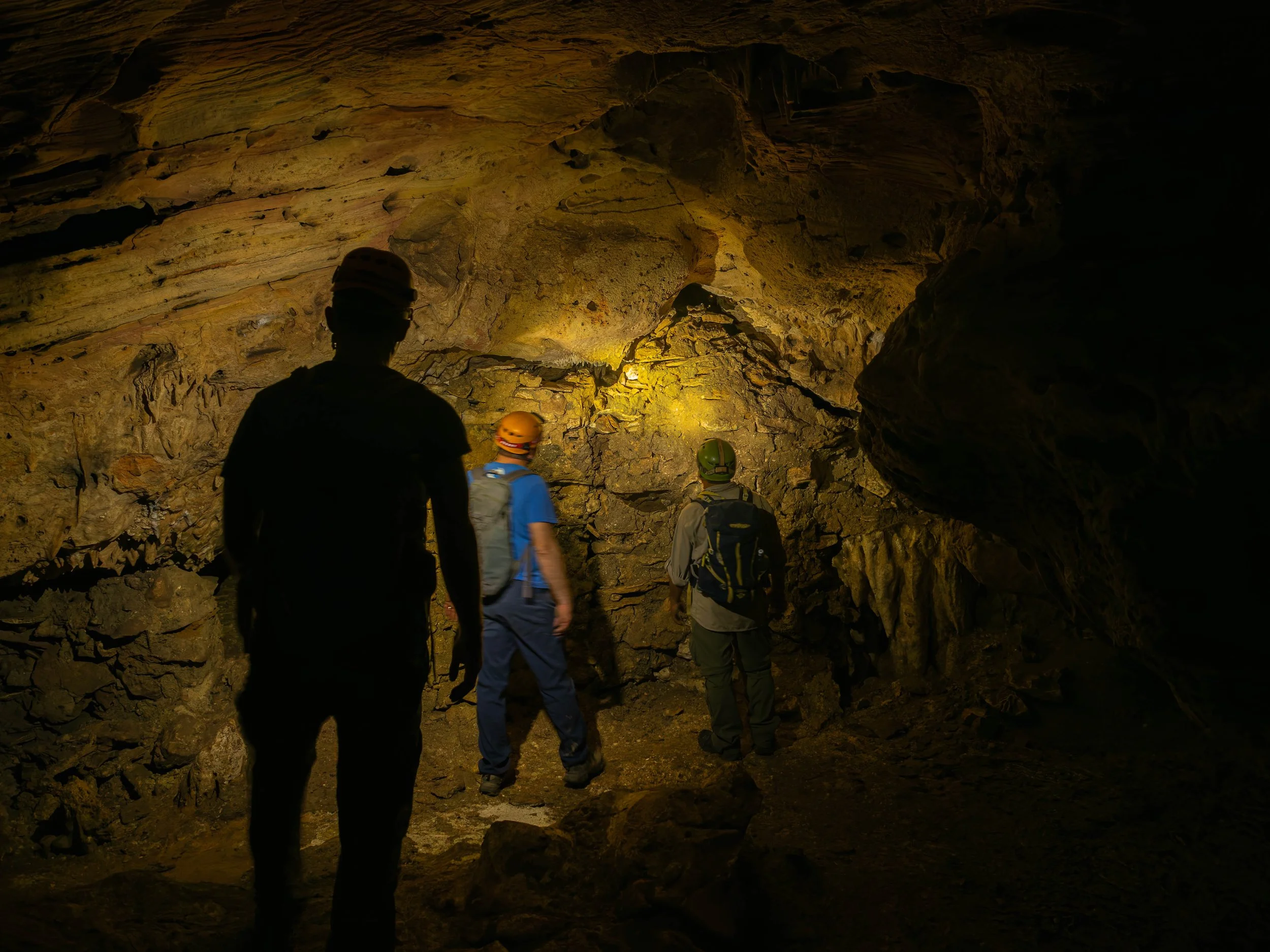 P1150564-DxO_DeepPRIME XD2s.jpg