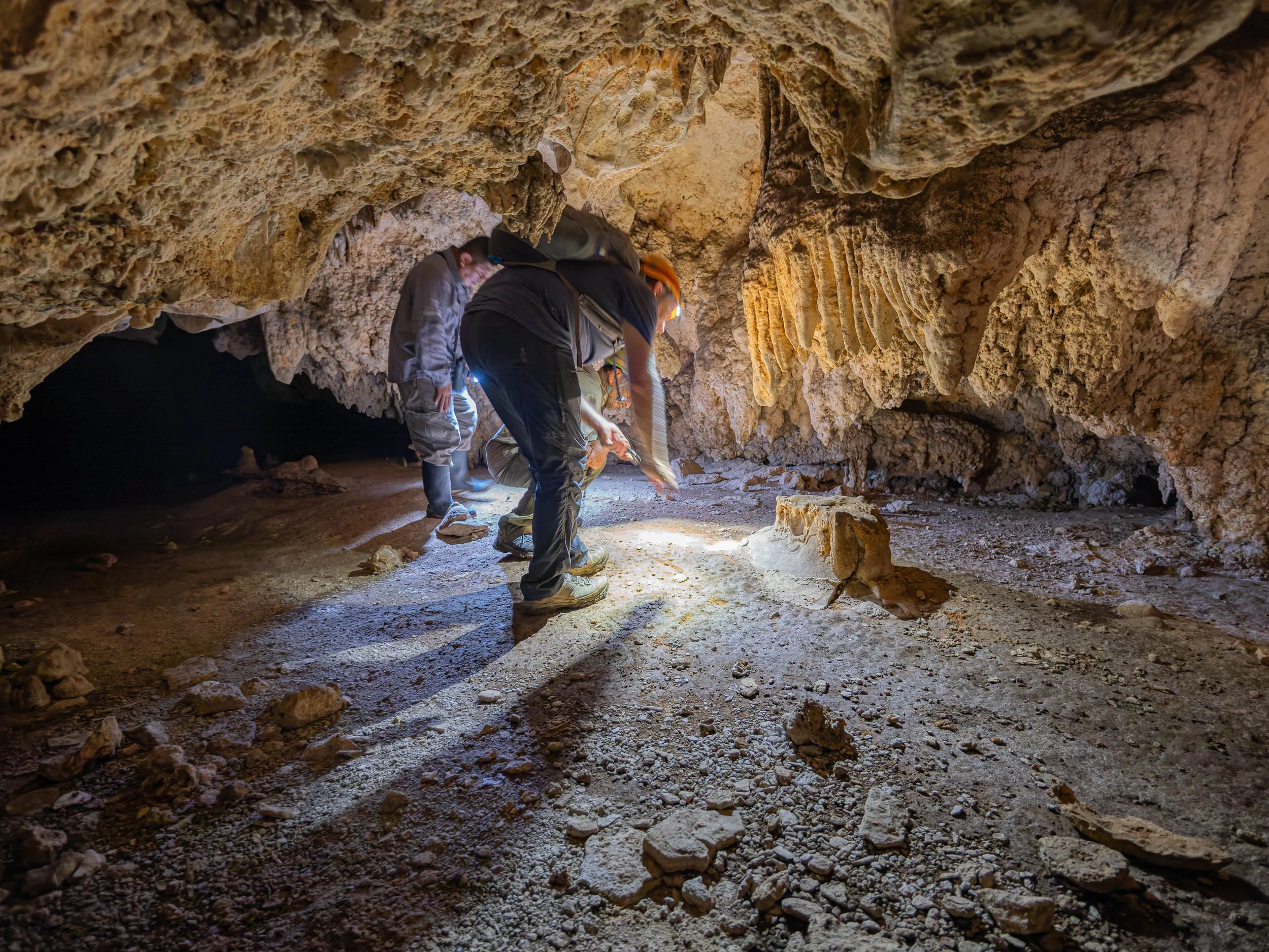 _1140078-DxO_DeepPRIME 3.jpg