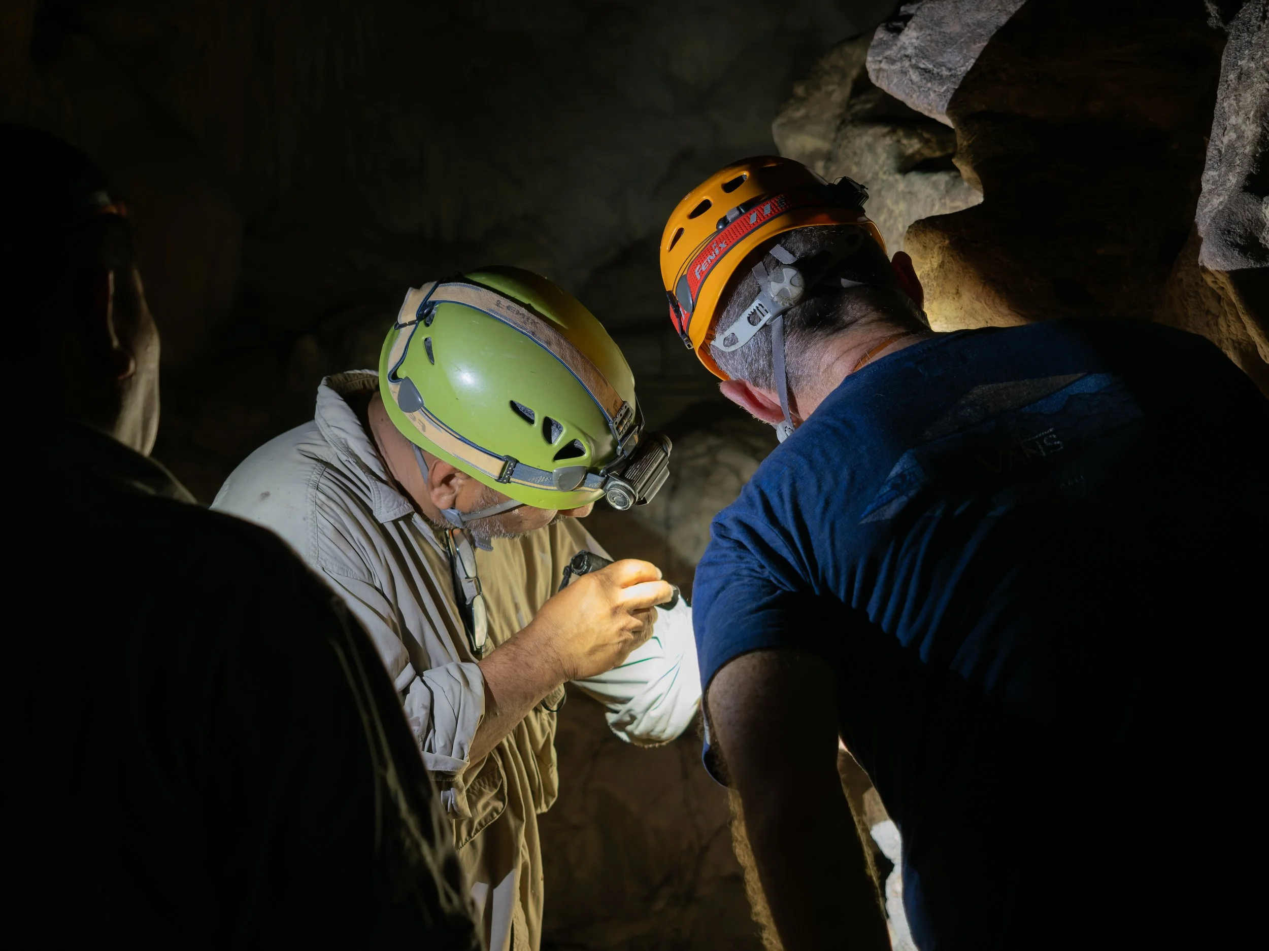 P1140341-DxO_DeepPRIME 3.jpg