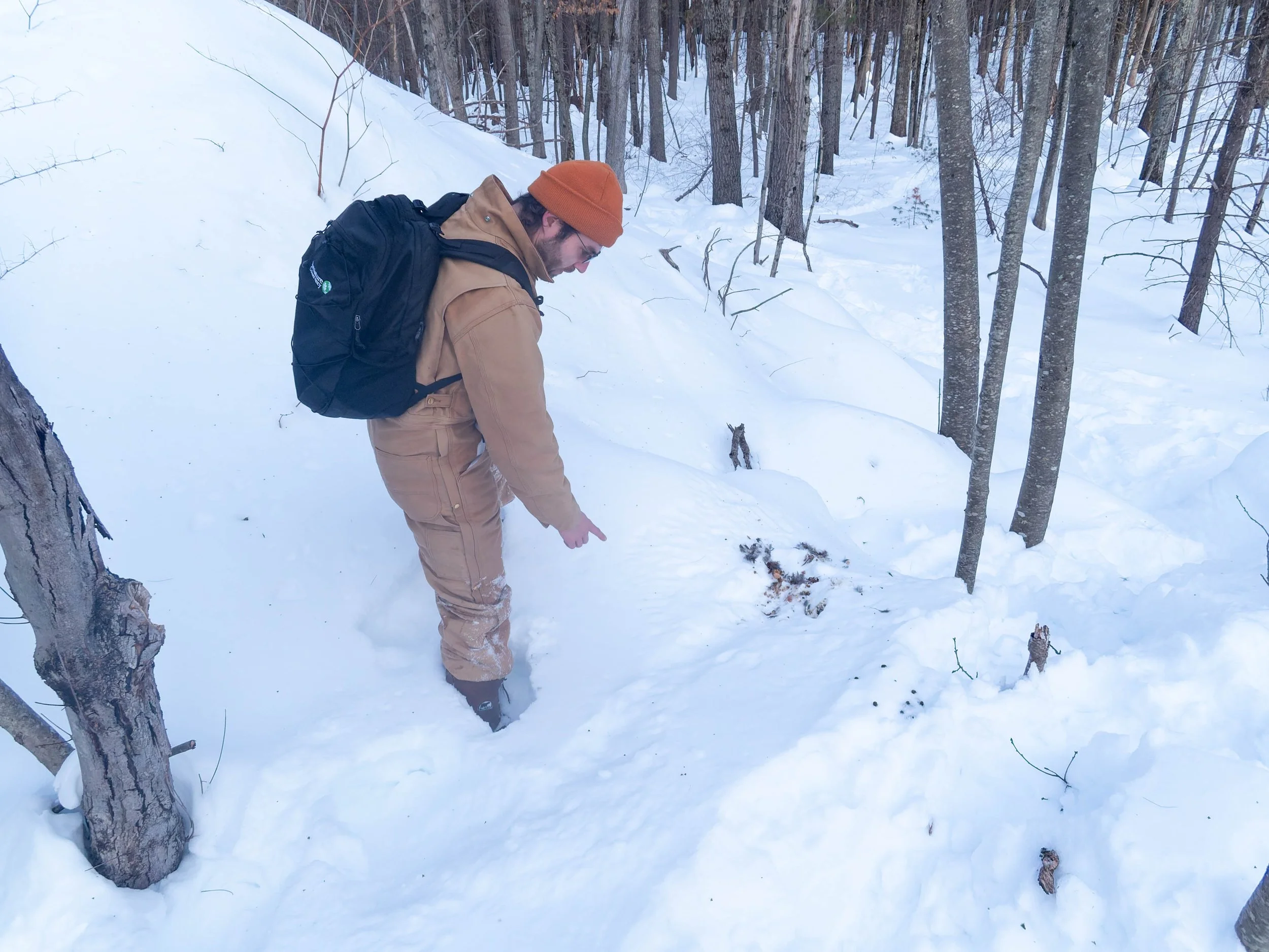 P2010232-DxO_DeepPRIME 3.jpg