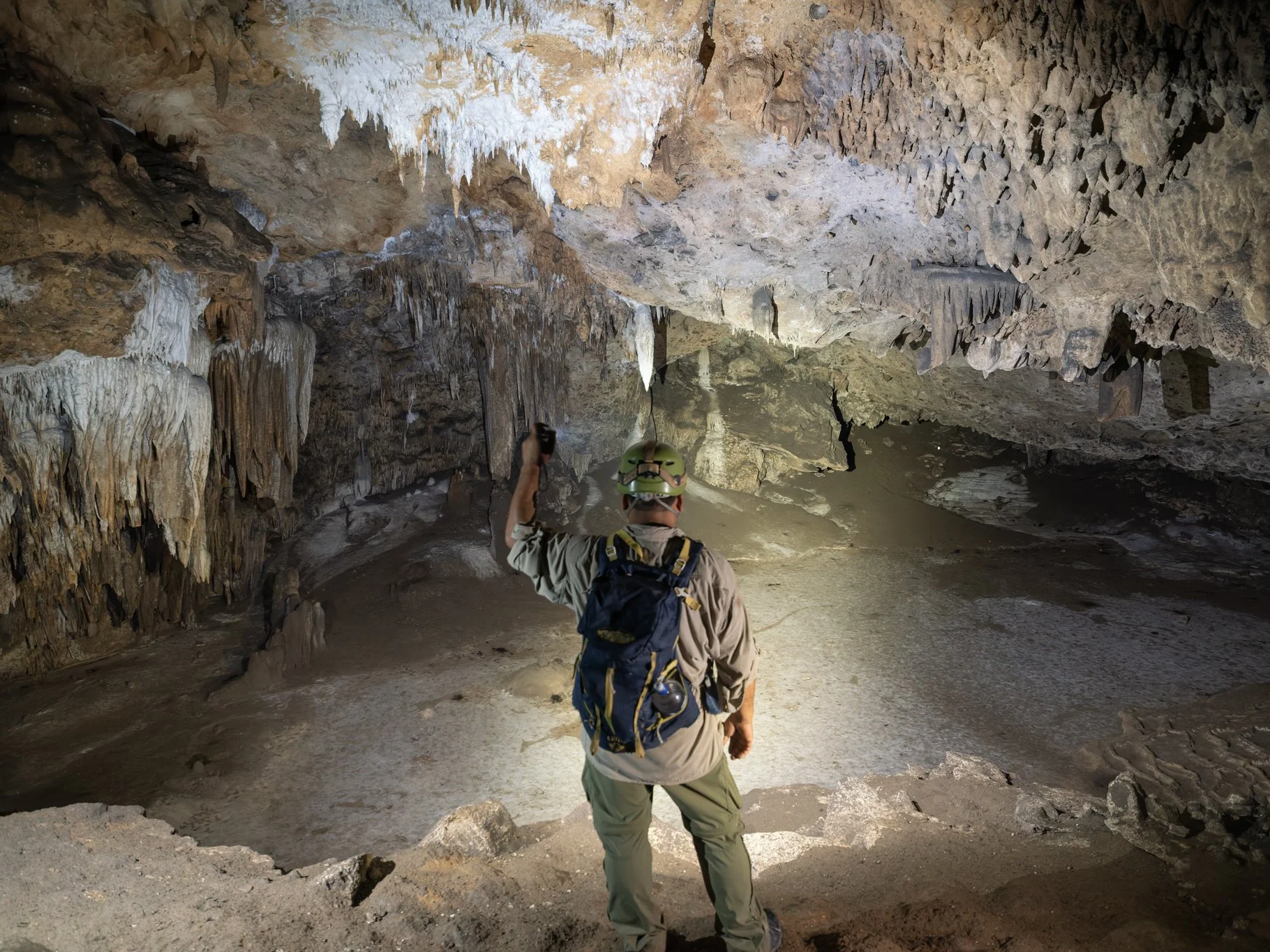 P1150508-DxO_DeepPRIME 3.jpg