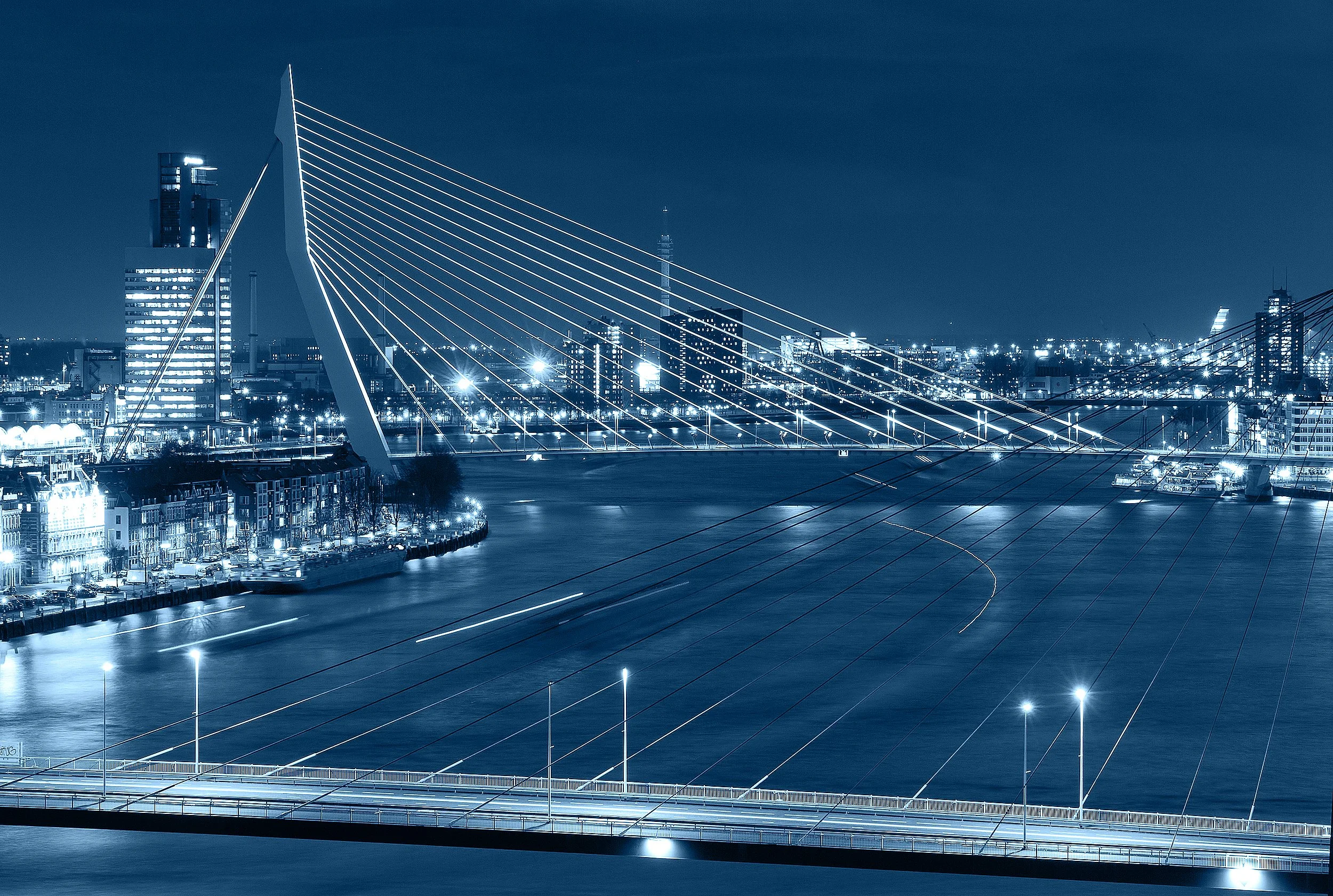 Nighttime Rotterdam featuring a modern cable-stayed bridge with illuminated cables and a city skyline with high-rise buildings and skyscrapers in the background.