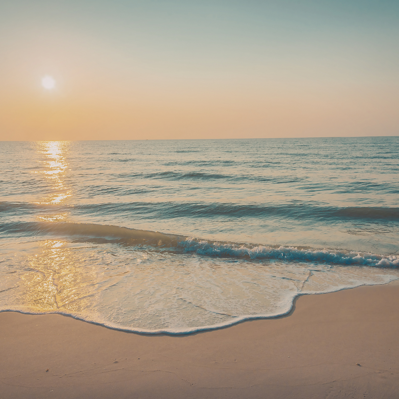 Branding Case Study: Full Business Rebrand That Increased Engagement & Conversions