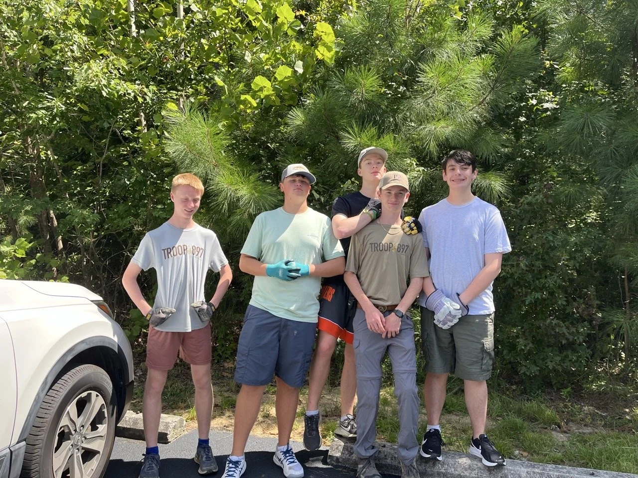 Trail Clearing