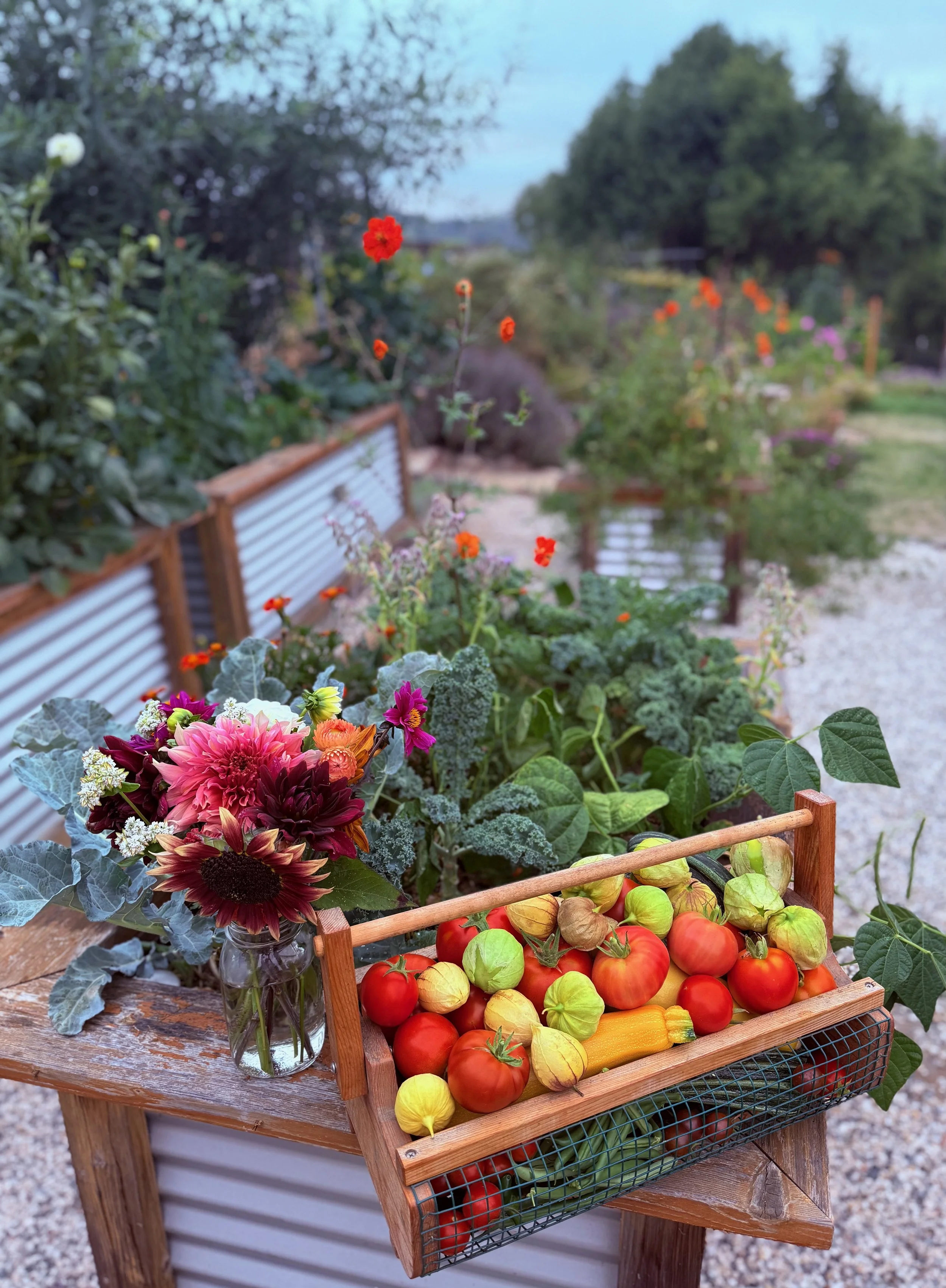 Freshly harvested tomatoes and gourds in a wooden basket on a rustic wooden table, with a vase of colorful flowers beside it, in an outdoor garden setting.