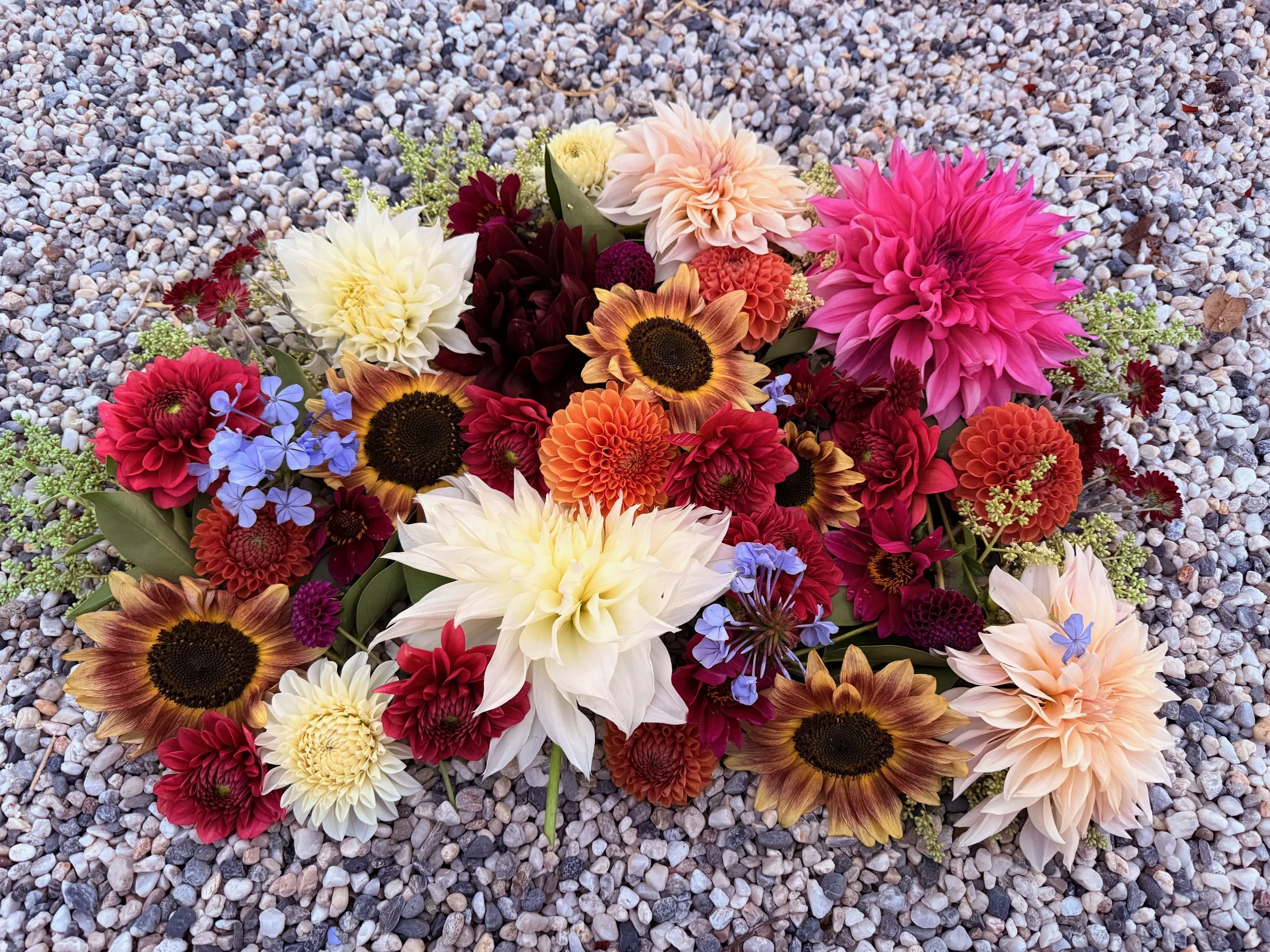 Colorful bouquet of various flowers, including dahlias, sunflowers, and others, placed on gravel ground.