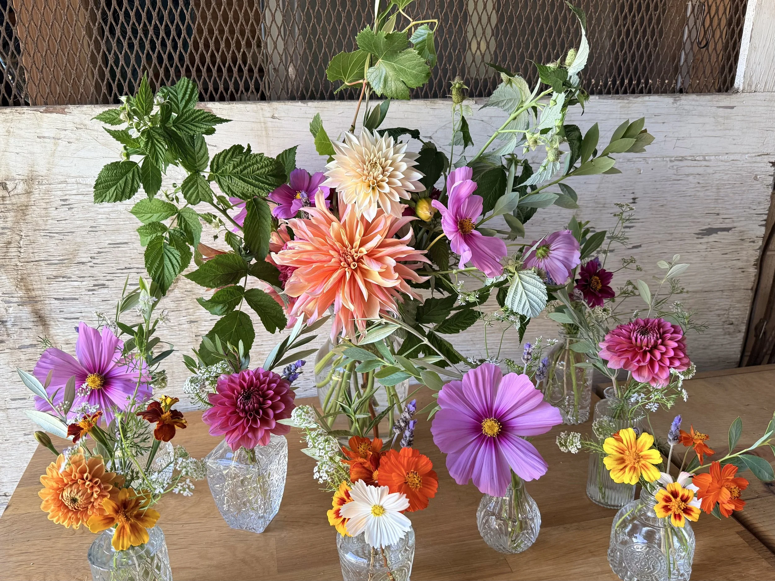 Multiple colorful flowers including dahlias, cosmos, and marigolds in glass vases arranged on a wooden surface over a whitewashed wooden background.