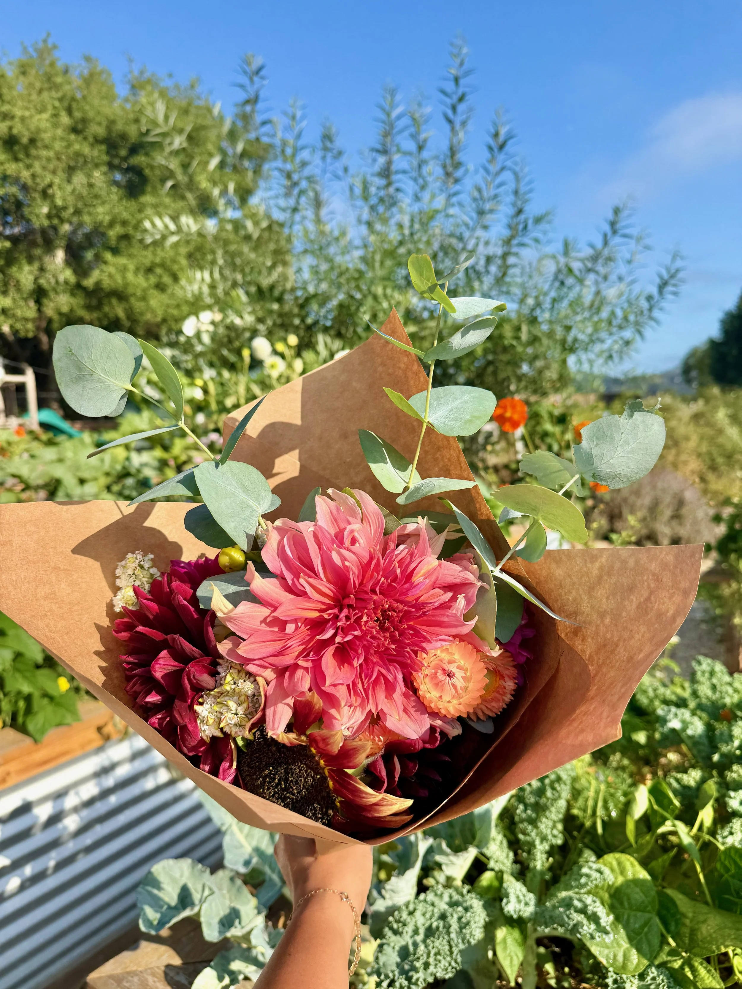 Hand holding a colorful flower bouquet wrapped in brown paper with vibrant pink and red flowers, greenery, and a garden background with trees and a blue sky.