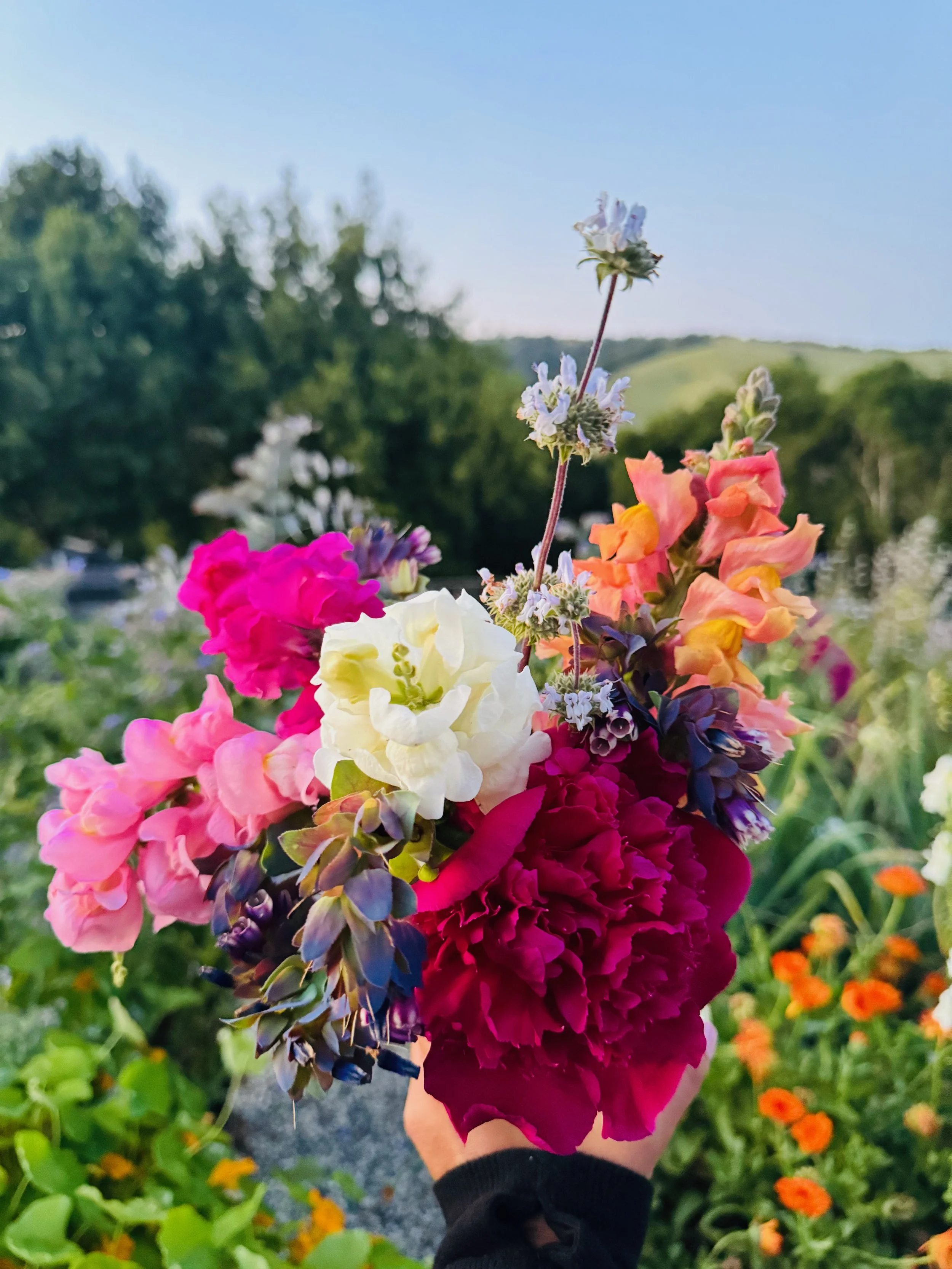 Colorful bouquet of various flowers held by a person's hand outdoors with a background of trees and a clear sky.