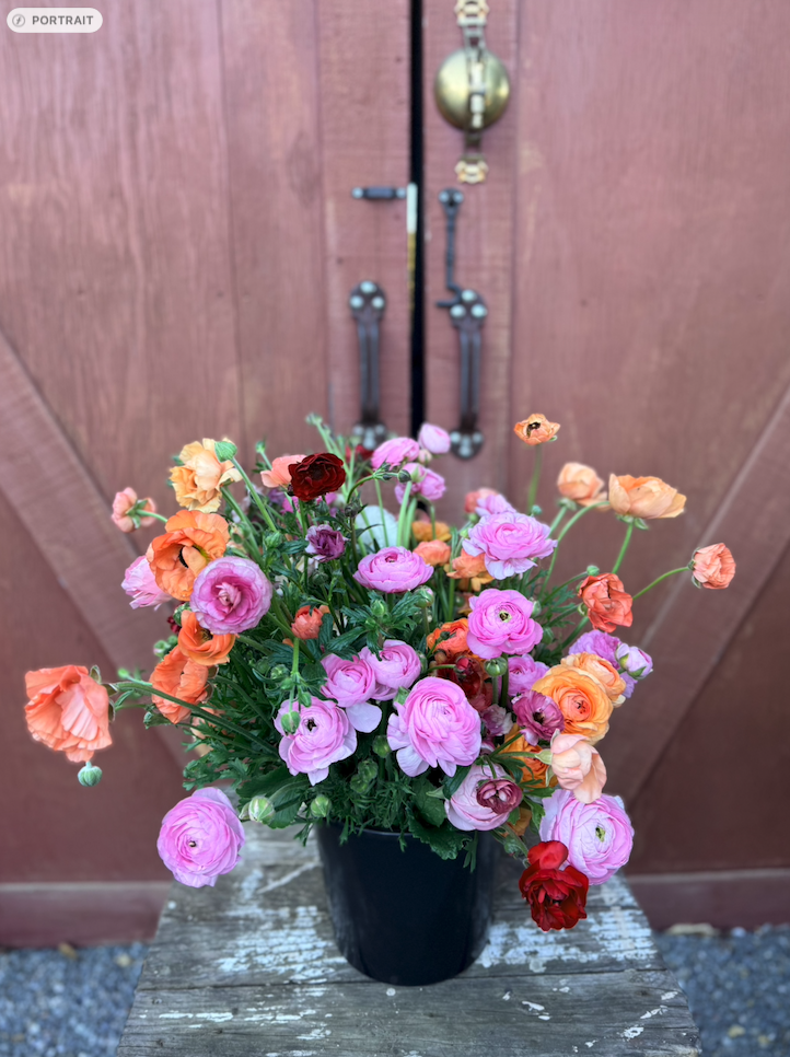 Screenshot 2026-04-07 at 9.29.31 AM.png