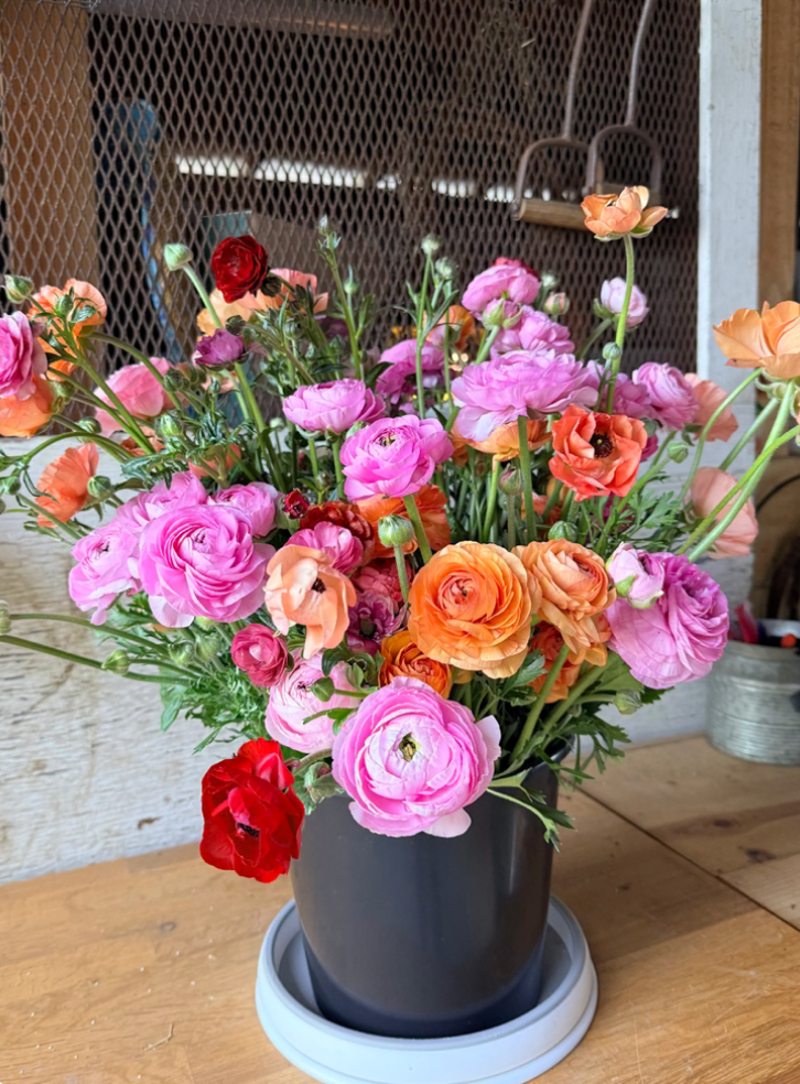 The DIY Dreamer's Bucket - Festive Gathering