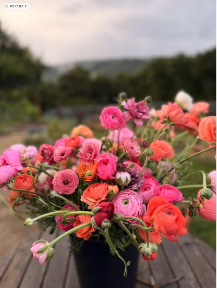 Screenshot 2026-04-07 at 9.23.27 AM.png