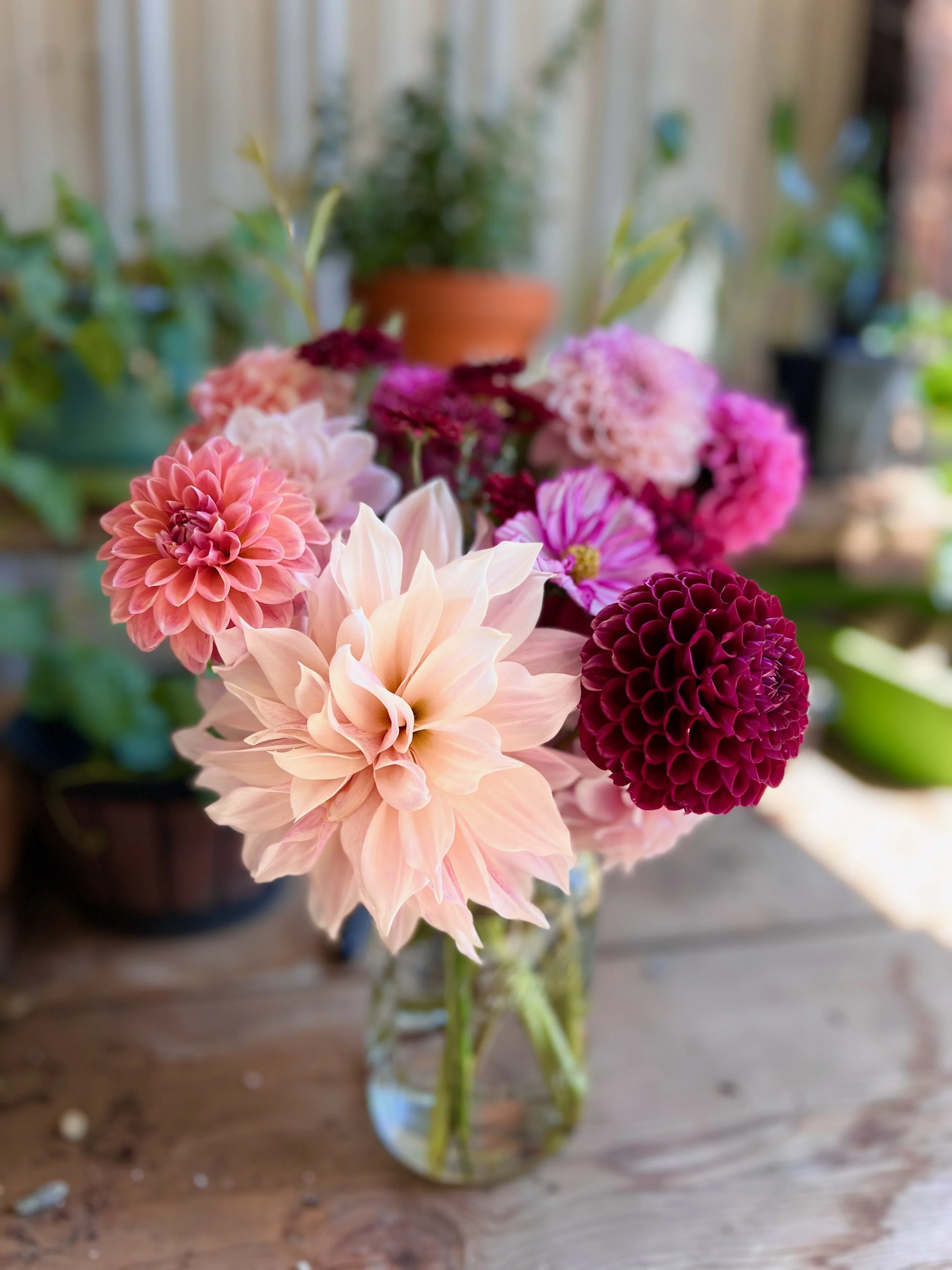 A glass vase with a variety of colorful flowers, including dahlias, arranged on a wooden surface with potted plants in the background.