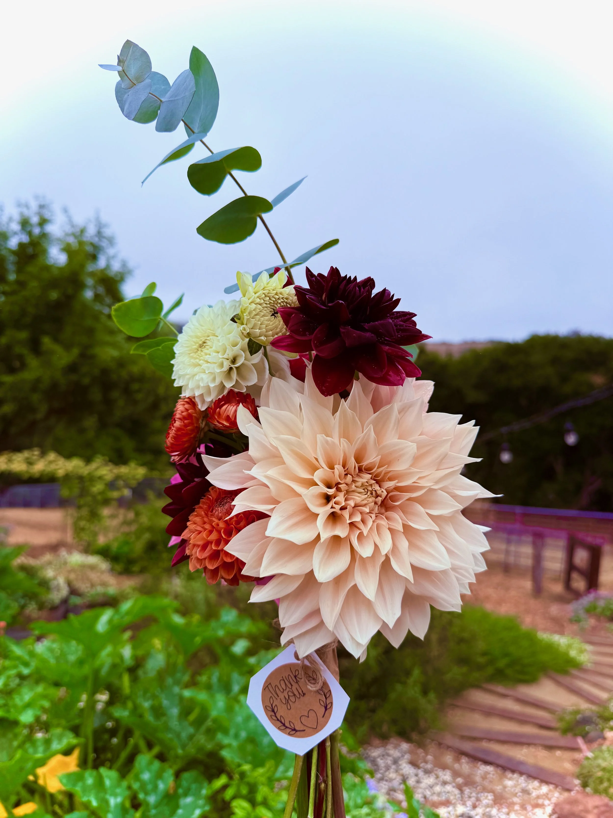 Bouquet of various colorful flowers with a thank you note attached, set against a garden background.